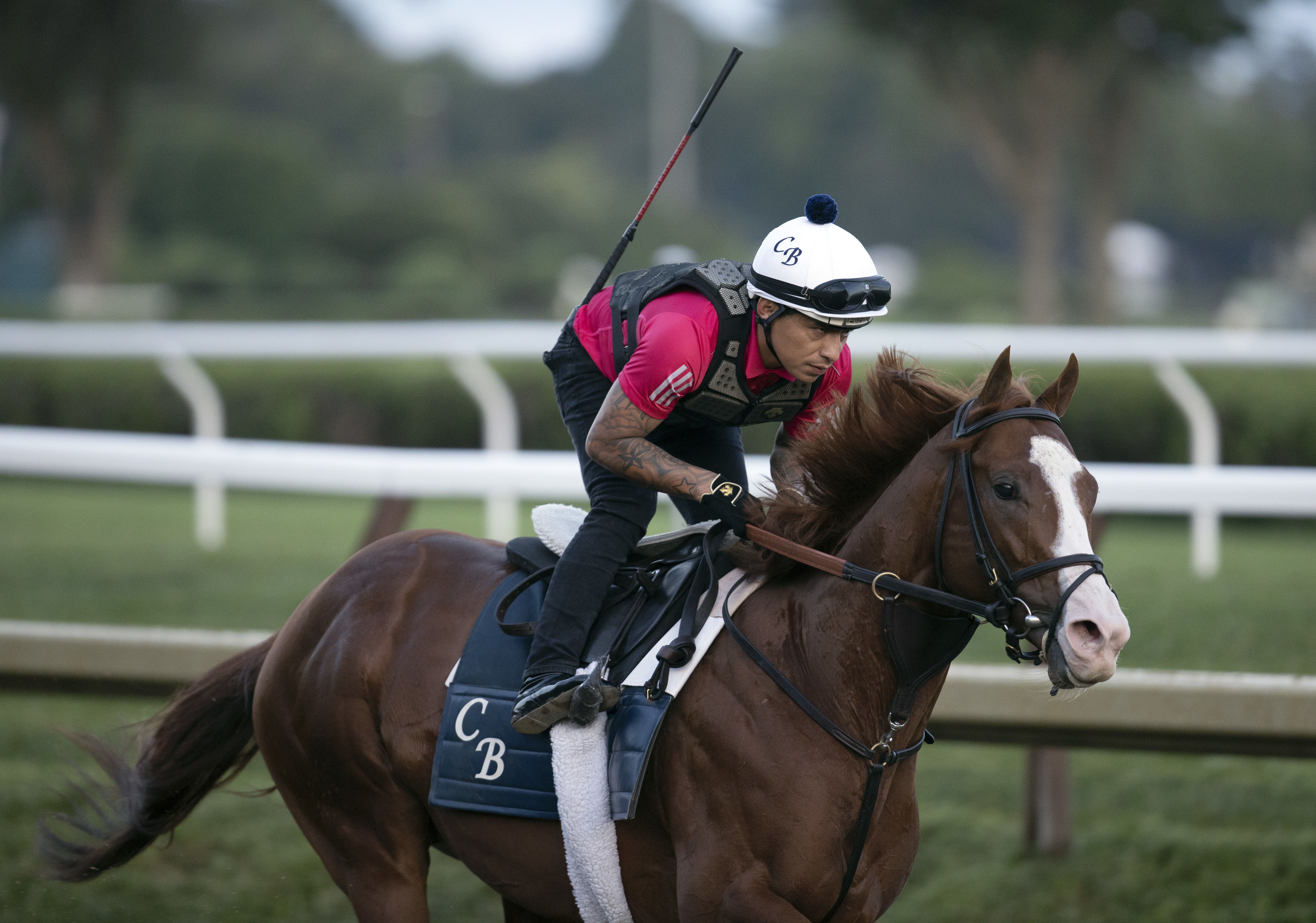 Breeders' Cup Dirt Mile: Jack Christopher still weighing his options