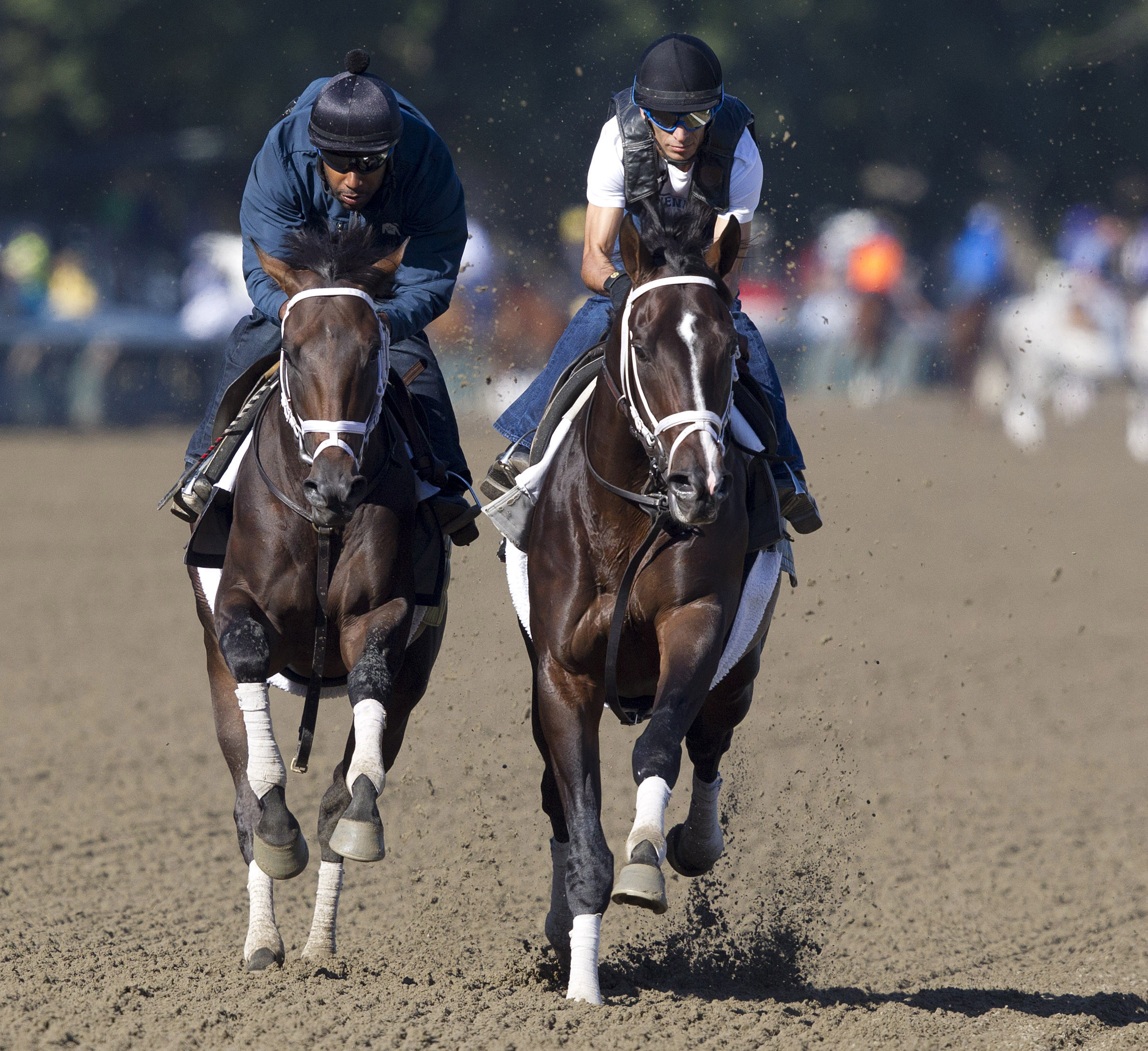 Jack Milton, Verrazano