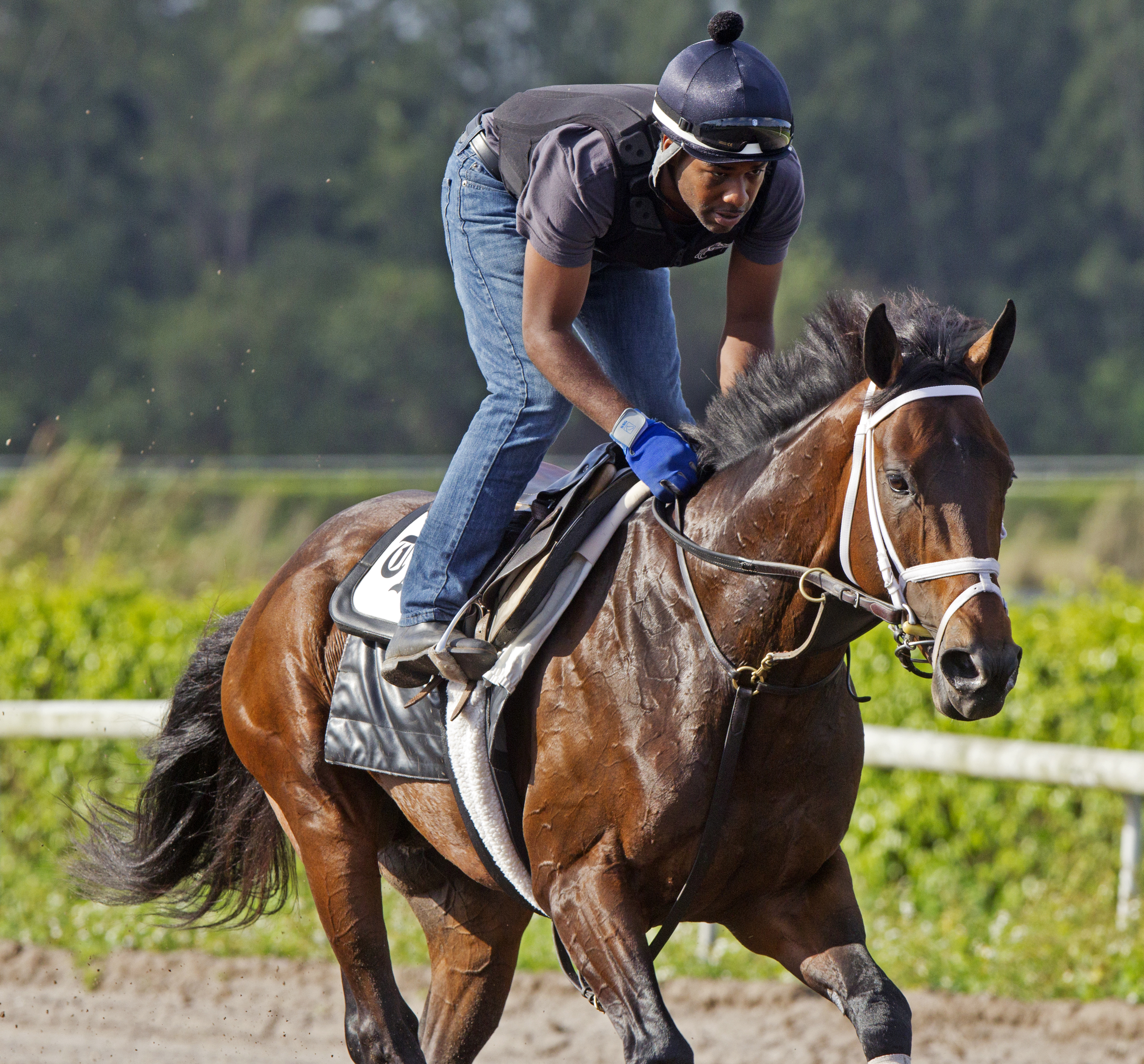 Jack Milton training at Palm Beach Downs