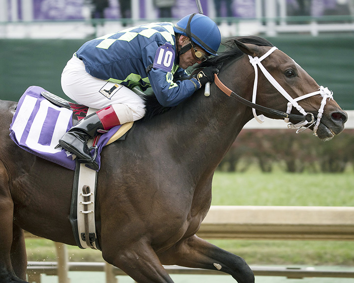 Jack Van Berg wins a Nov. 2 maiden race