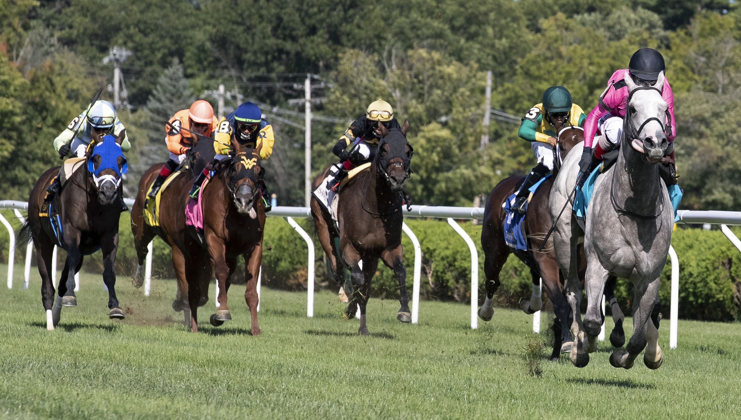 Jack and Noah wins the Mahony Stakes.8-26-2020
