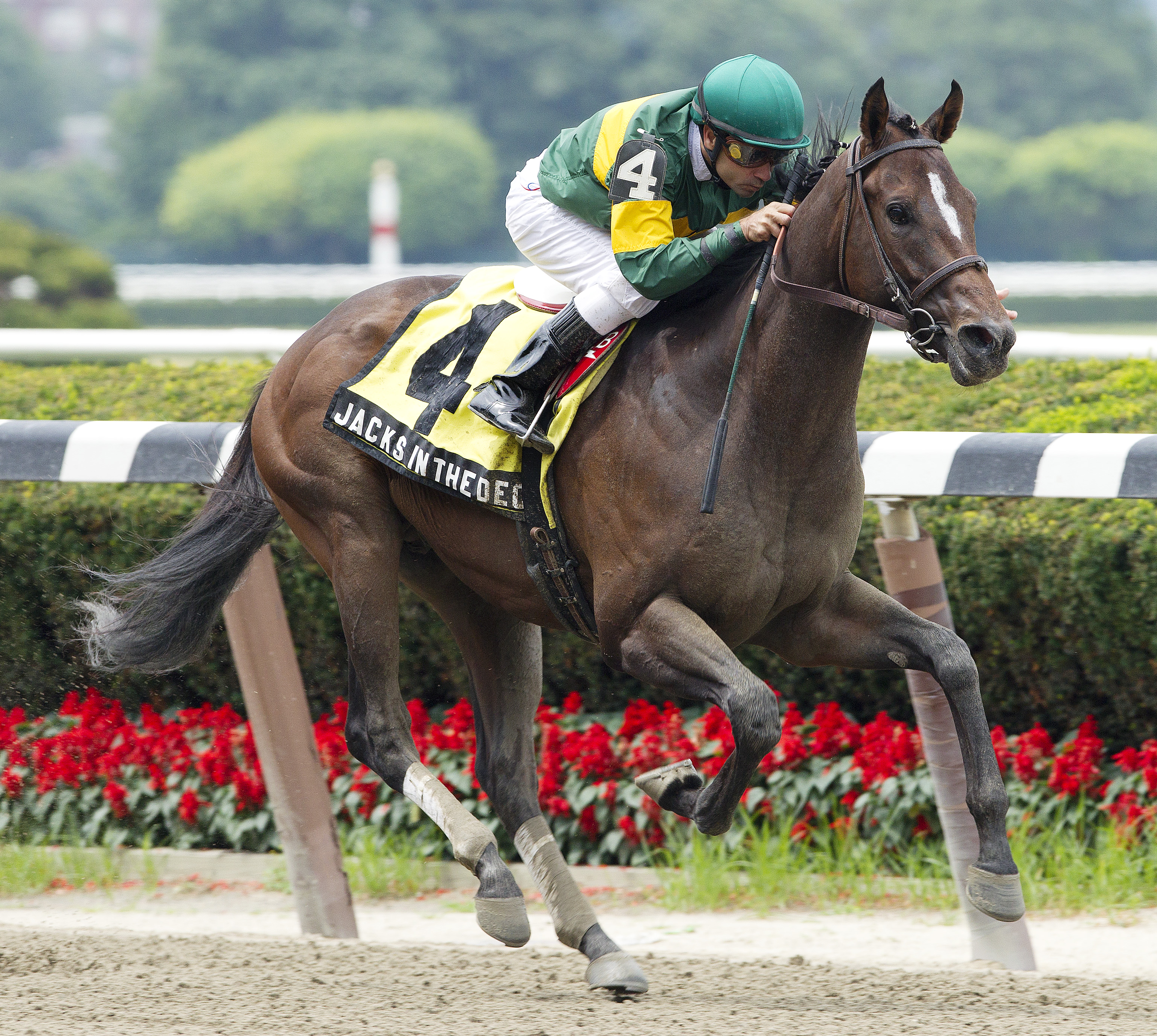 Jack’s in the Deck/Futurity