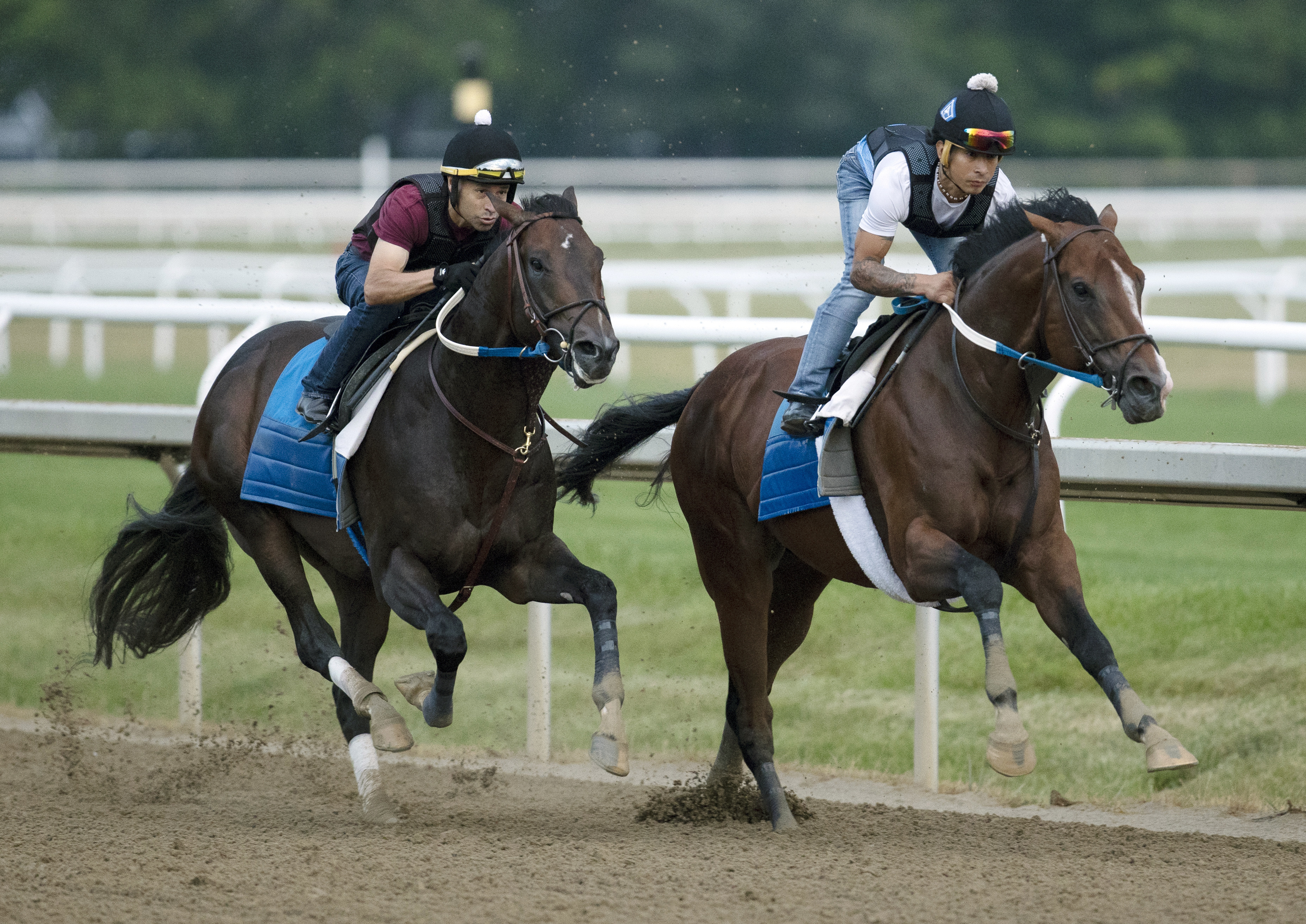 Jackie's Warrior (right) works with Favorite Outlaw on July 17 2022