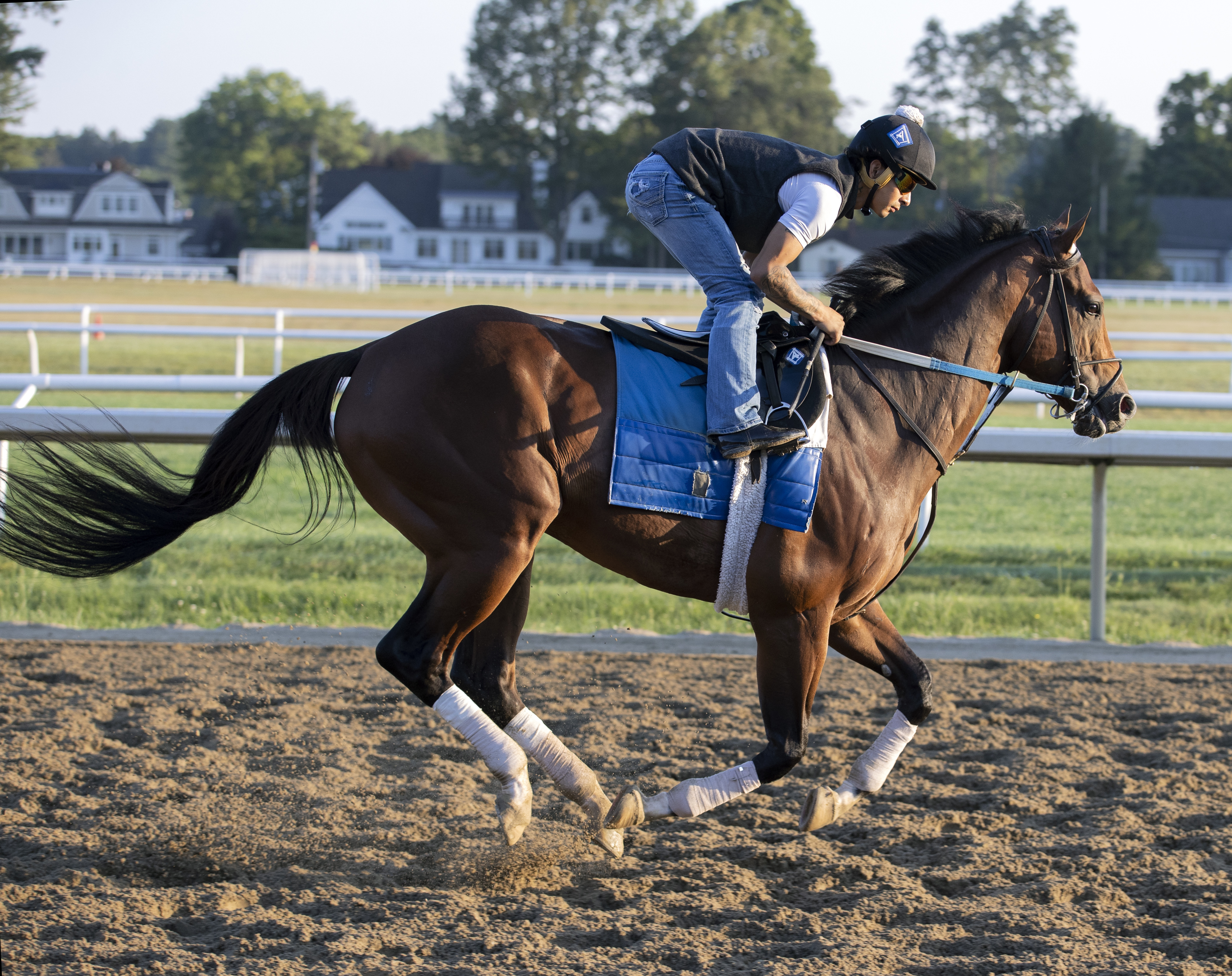 Jackie's Warrior trains at Saratoga Aug 25 2022
