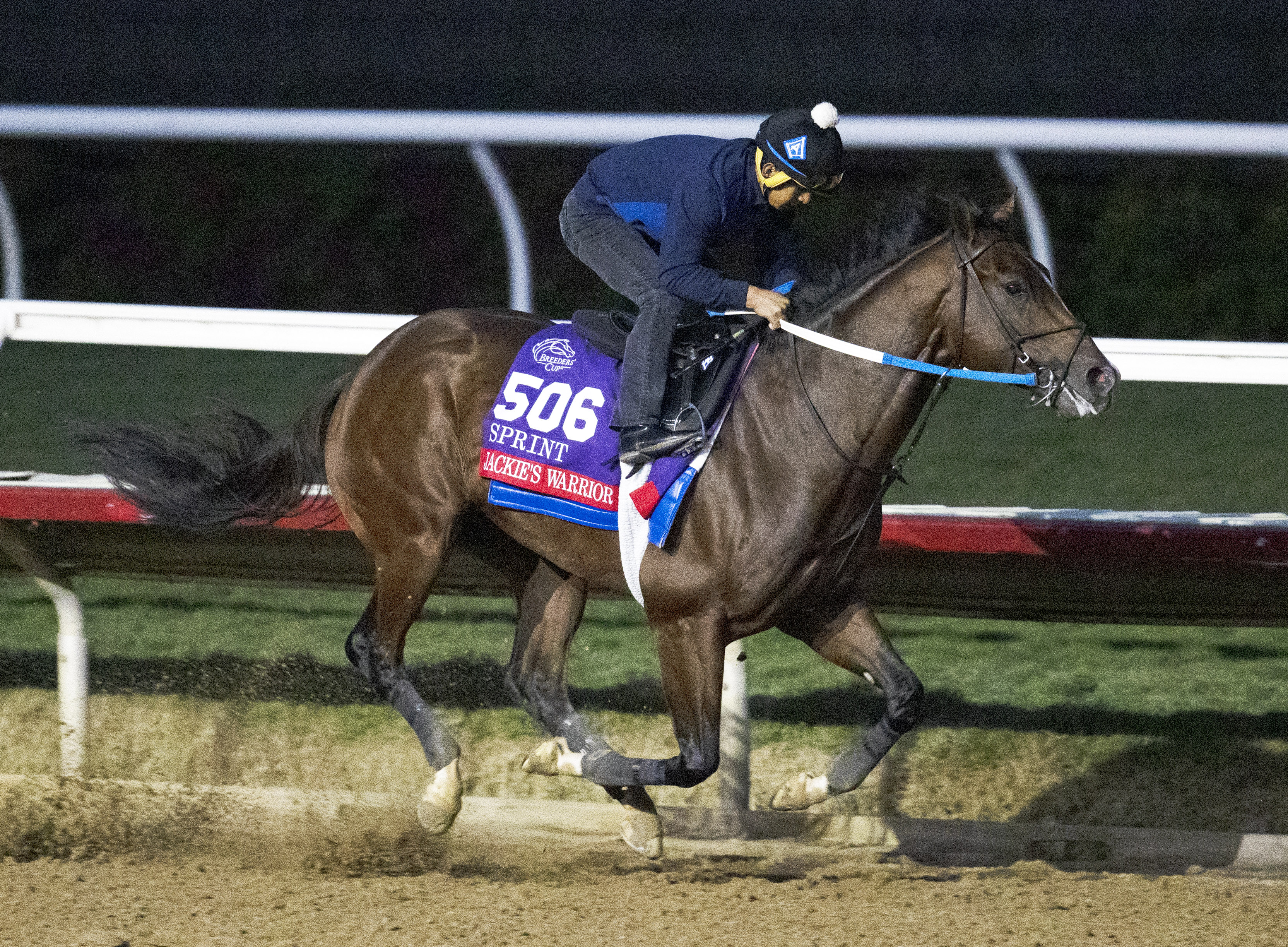 Jackie's Warrior works at Del Mar 10-31-2021