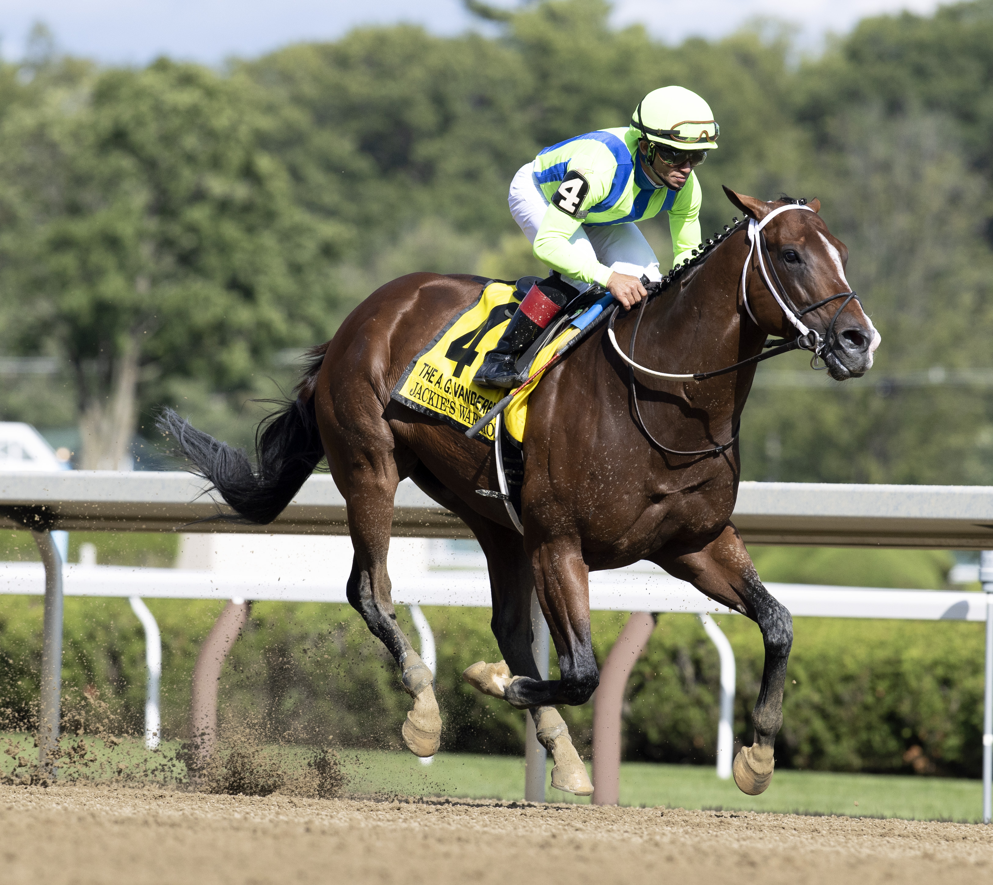Jackie's Warrior/Eclipse Awards