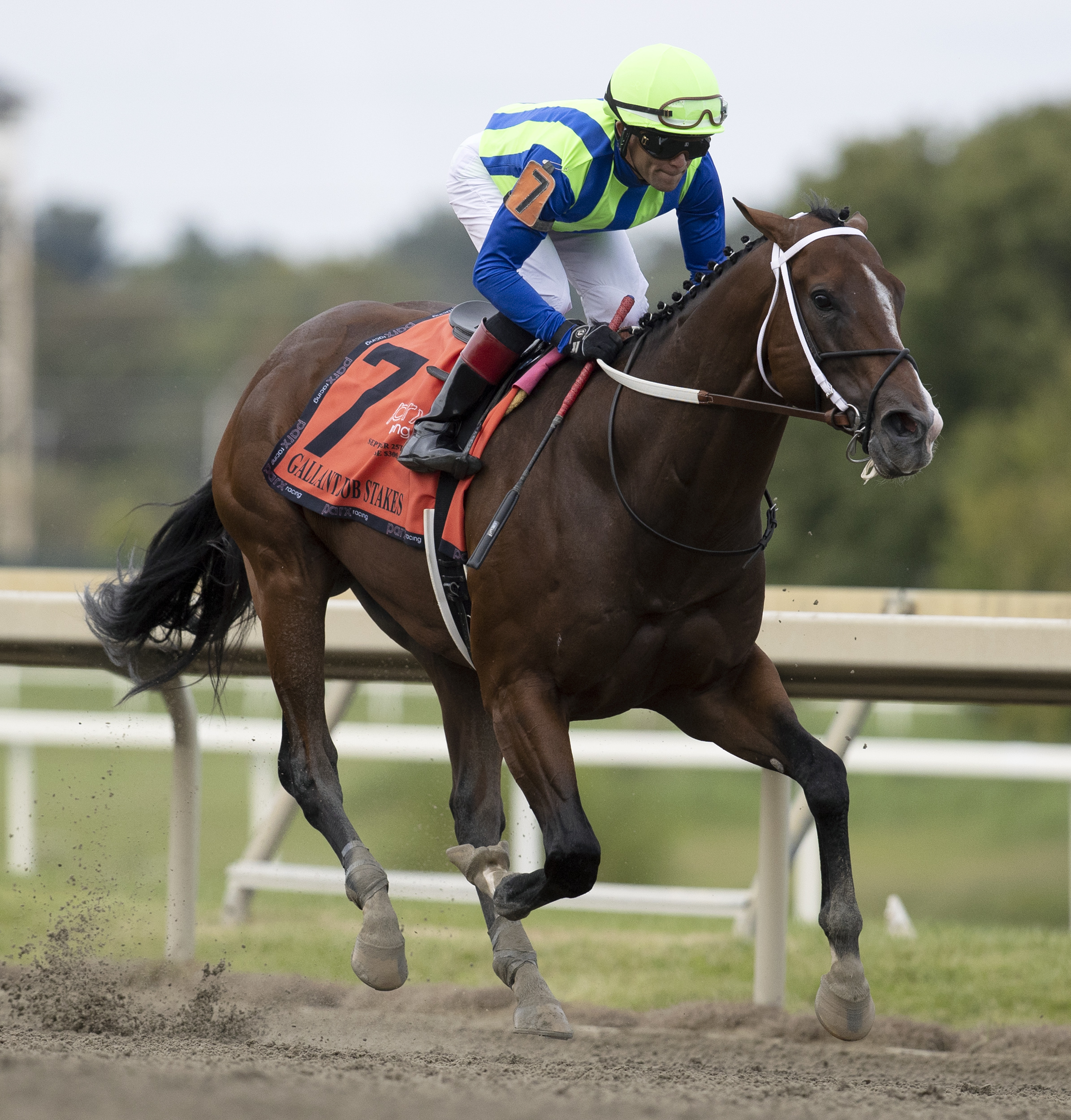 Jackie's Warrior - Gallant Bob S. 2021