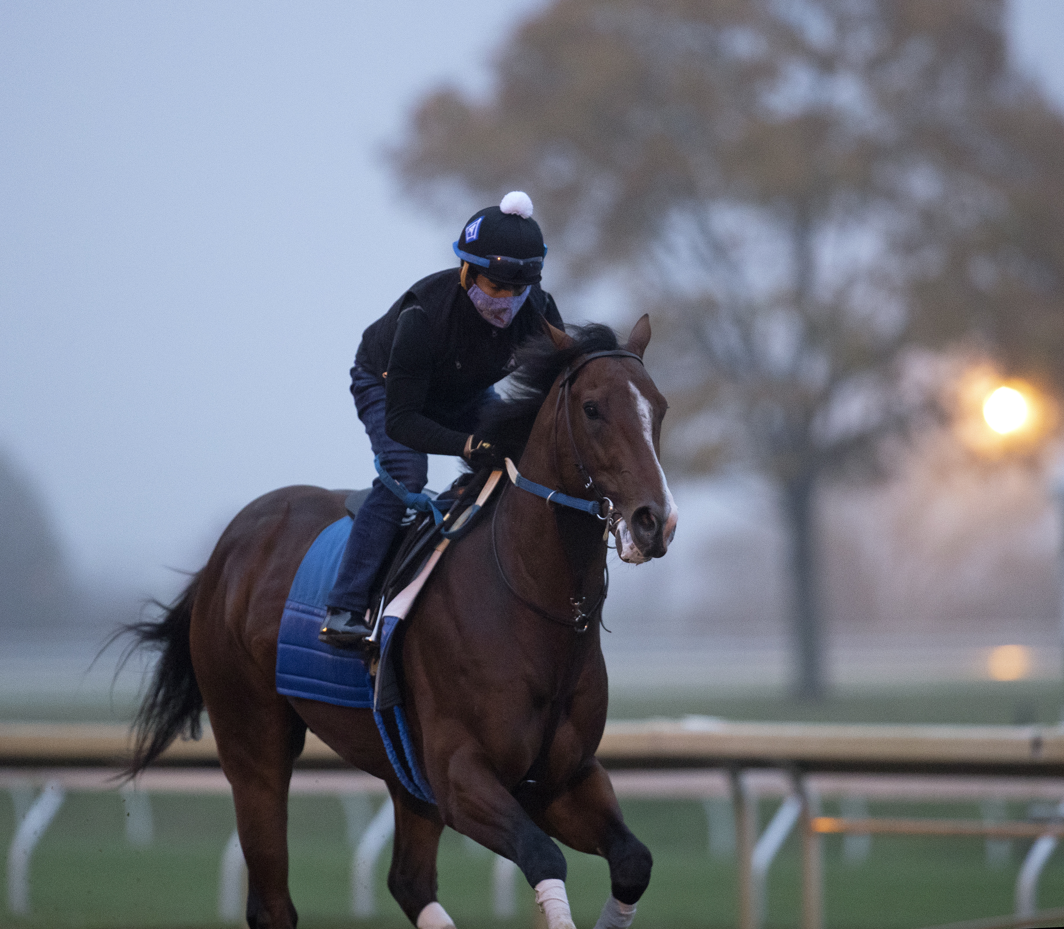 Jackie's Warrior trains at Keeneland on Oct. 28