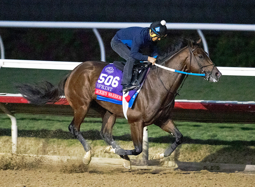 Jackie's Warrior trains at Del Mar on Oct. 31