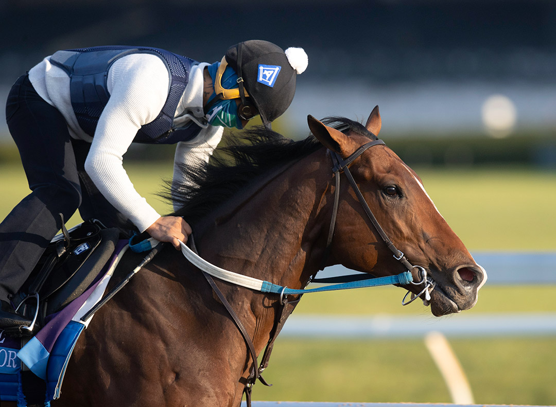 Jackie's Warrior trains at Keeneland in November 2020