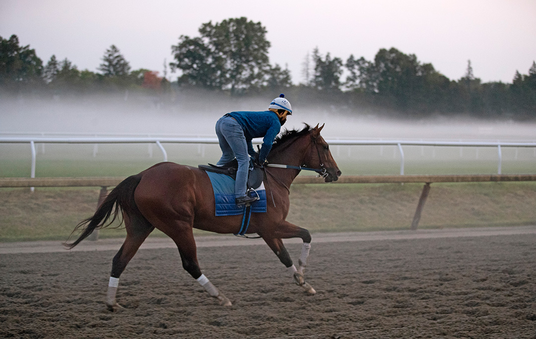 Jackie's Warrior trains at Saratoga Race Course on Sept. 25