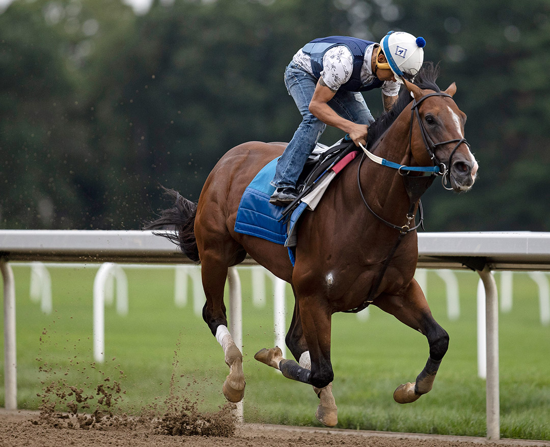 Jackie's Warrior trains at Saratoga Race Course on July 14