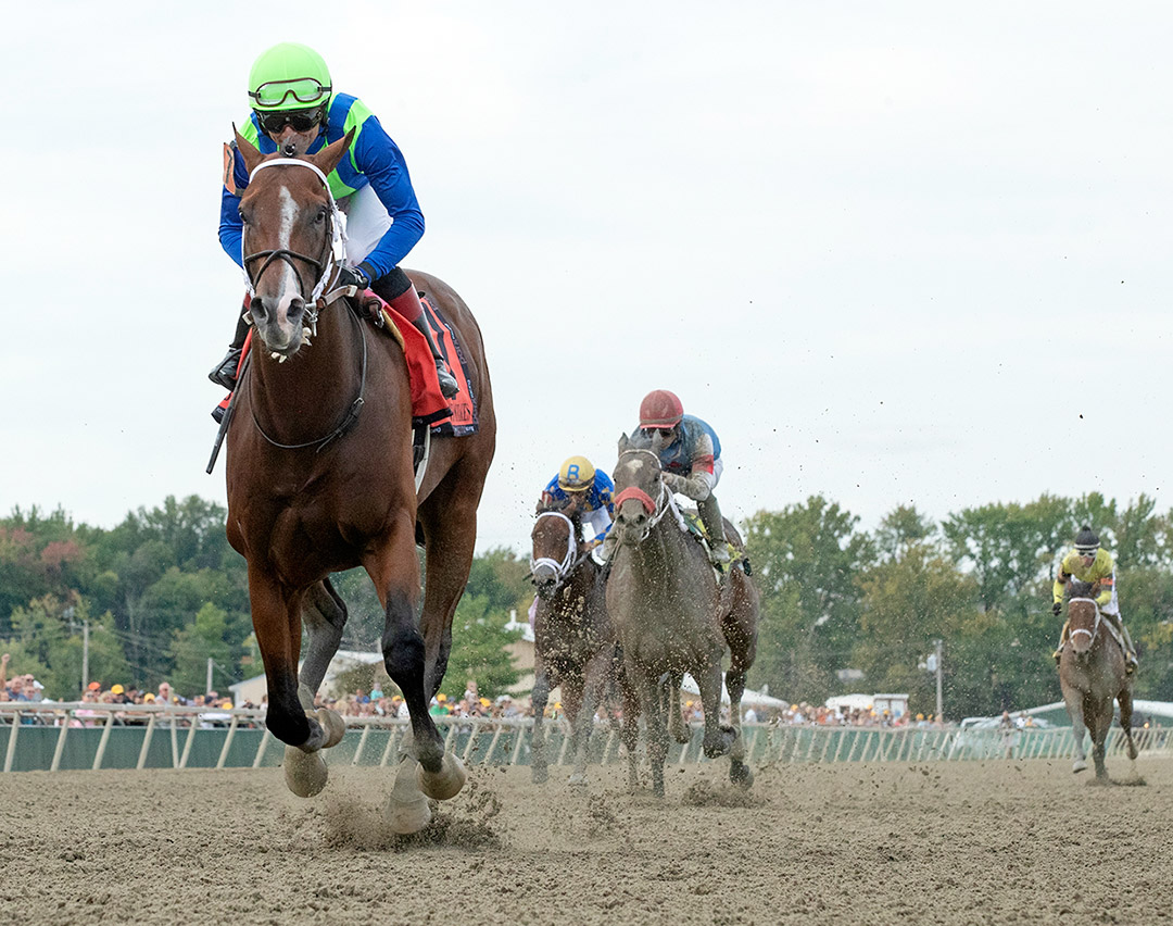 Jackie's Warrior wins the 2021 Gallant Bob at Parx Racing