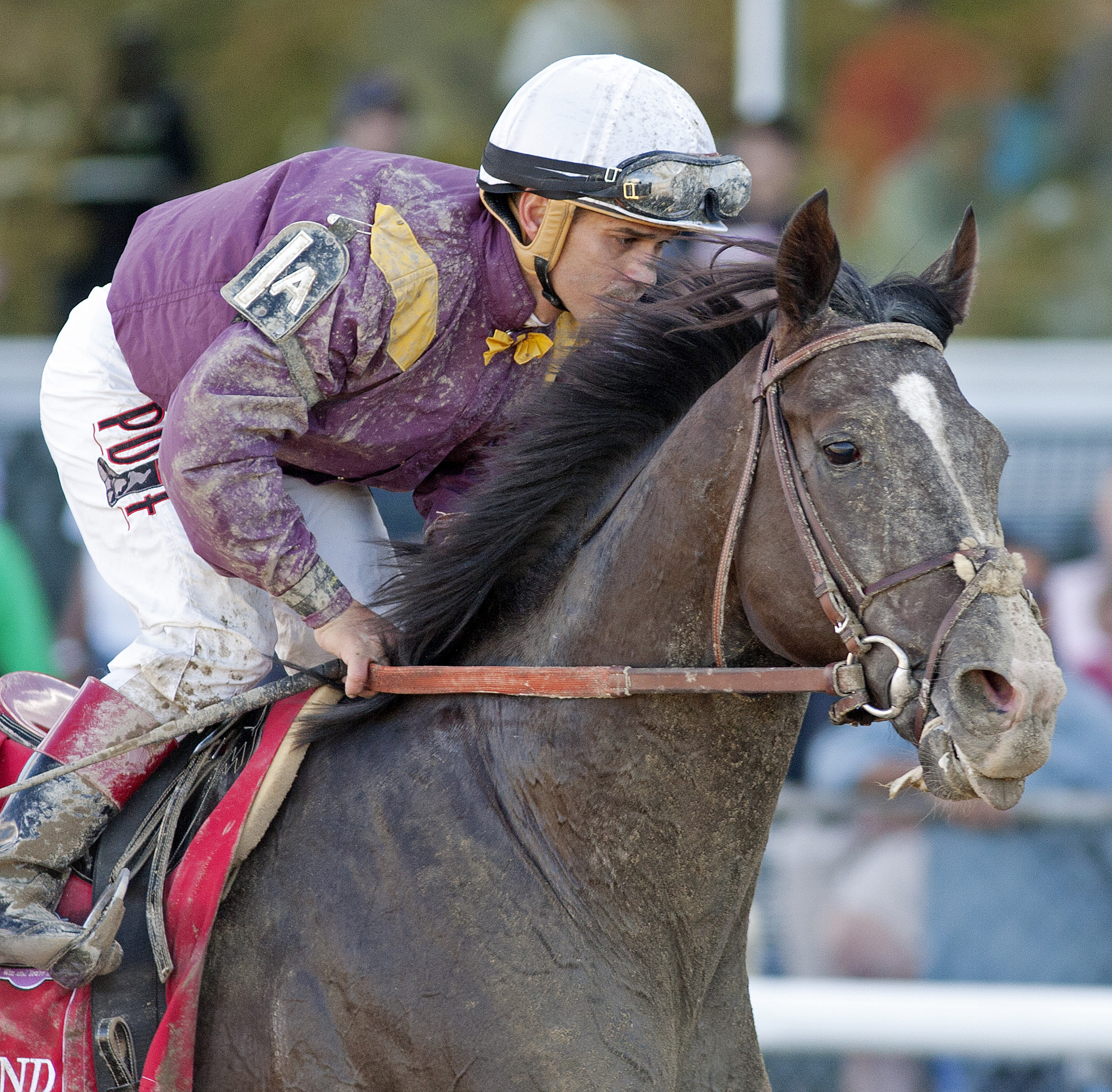 Jackson Bend in the Kelso Handicap
