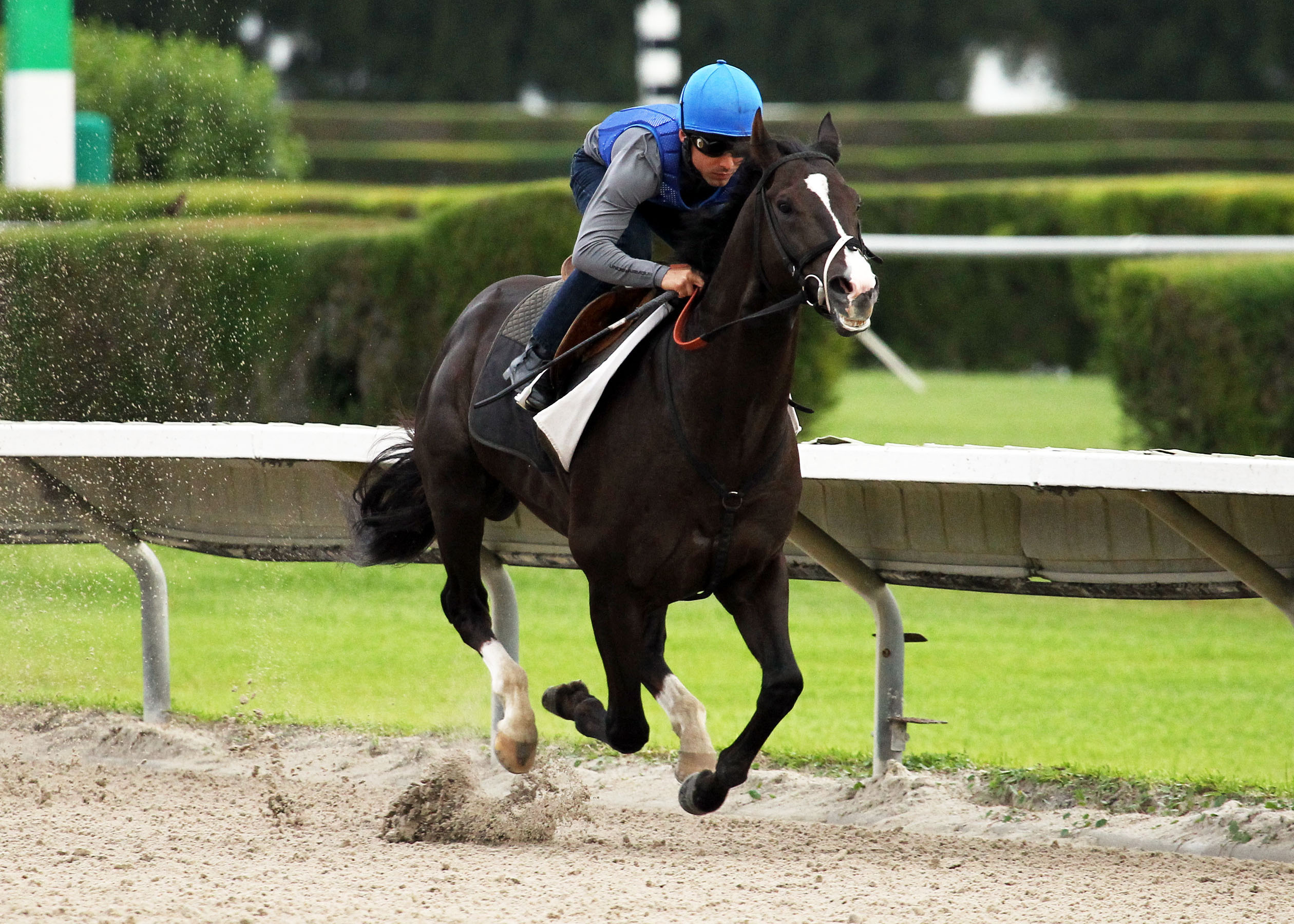 Jackson Bend at Calder Race Course