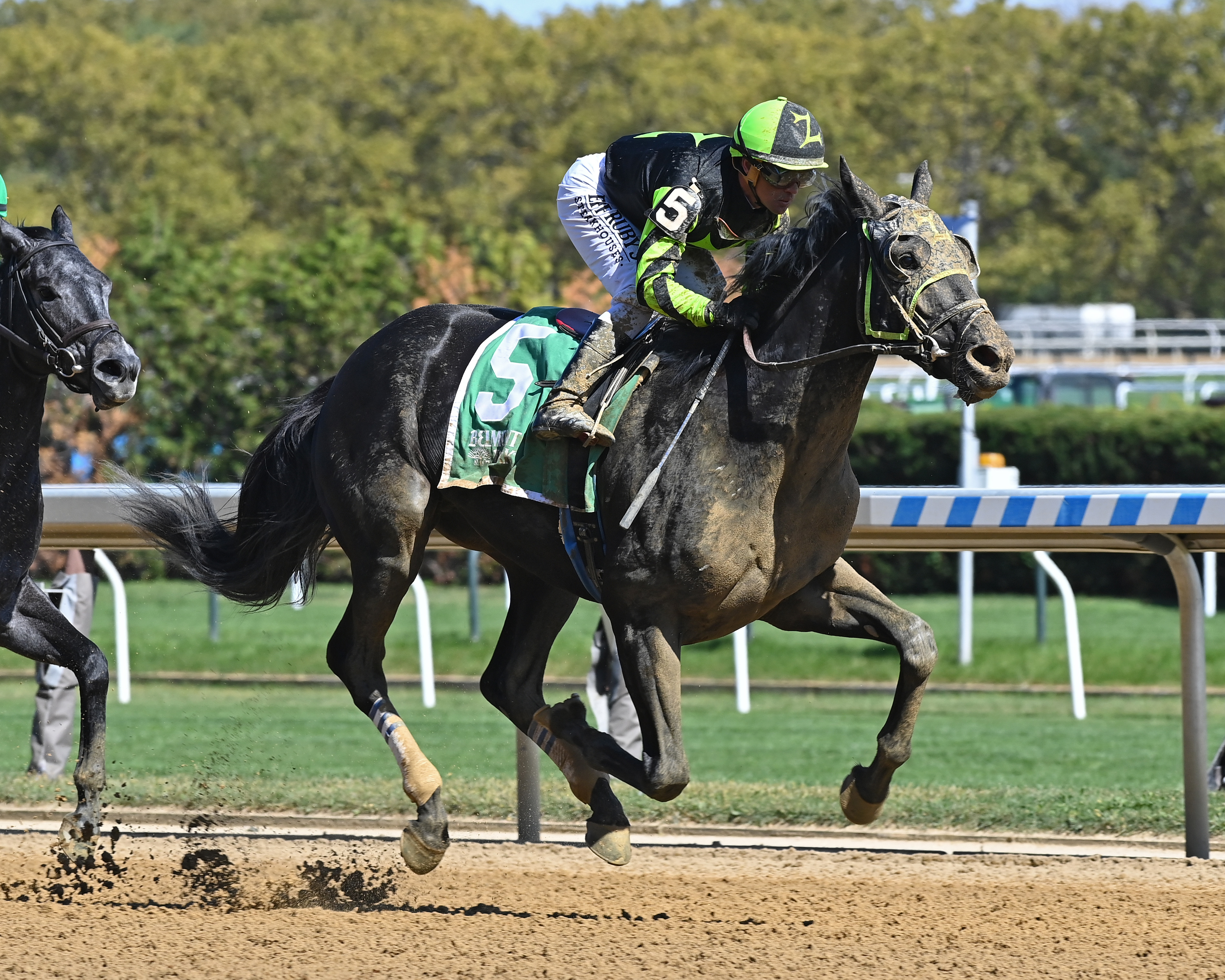 Jackson Heights wins the Bertram F. Bongard at Aqueduct Sept 29 2022