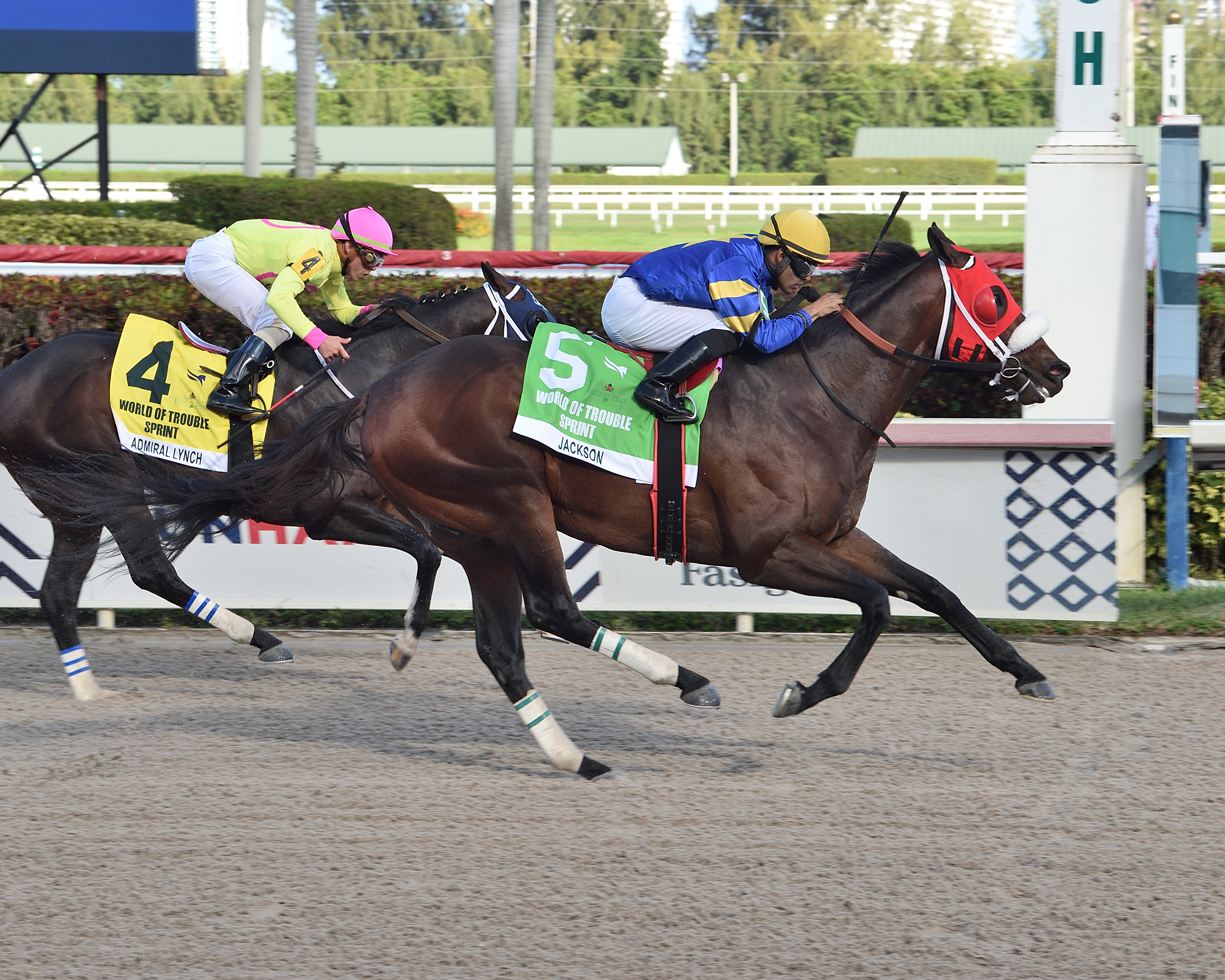 Jackson wins the 2020 World of Trouble Sprint Stakes