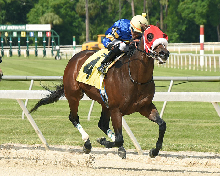 Jackson wins the 2019 Ocala Breeders Sales Sophomore Stakes