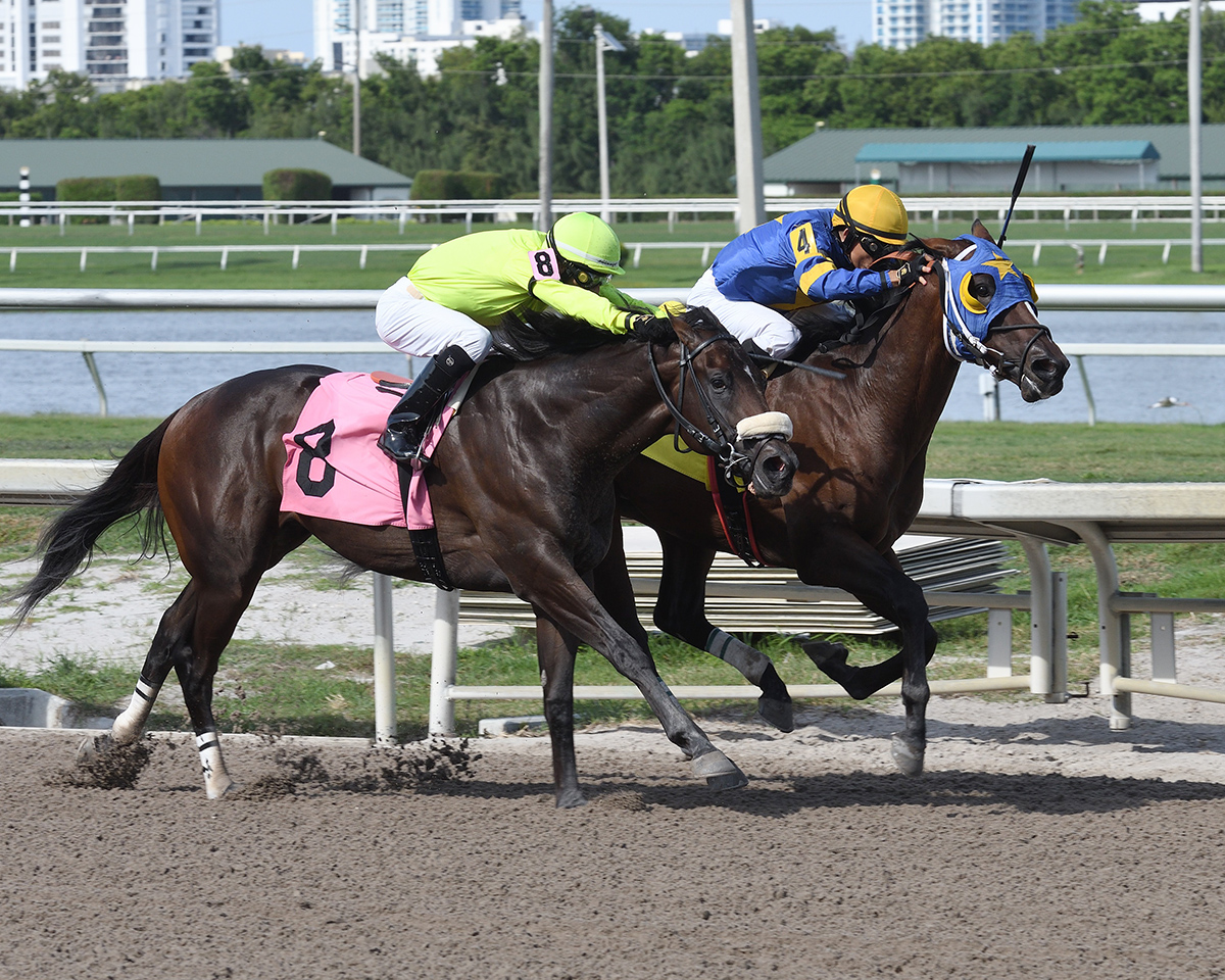 Trophy Chaser finishes second in a July 15 maiden race