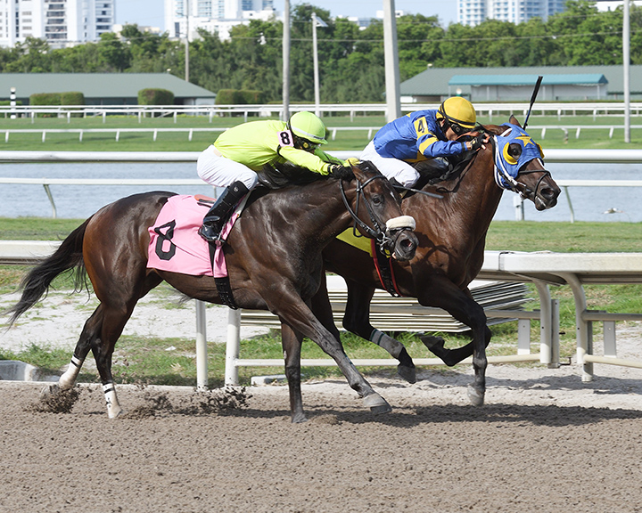 Trophy Chaser finishes second in a July 15 maiden race