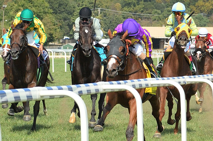 Jais's Solitude (purple silks) was disqualified to sixth in the Bald Eagle Derby at Laurel Park