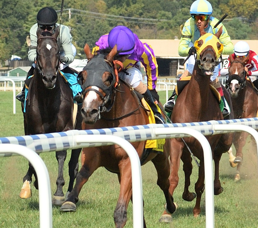 Jais's Solitude (purple silks) was disqualified to sixth in the 2019 Bald Eagle Derby at Laurel Park