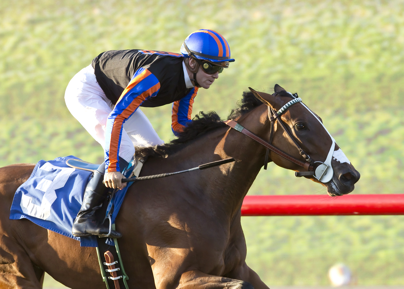 Jakaby Jade wins the Del Mar Juvenile Fillies Turf