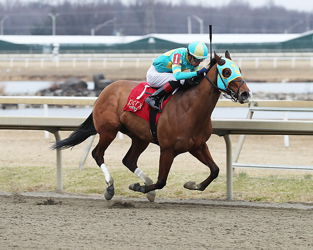 Jakarta wins the 2021 Mrs. Claus Stakes at Parx Racing