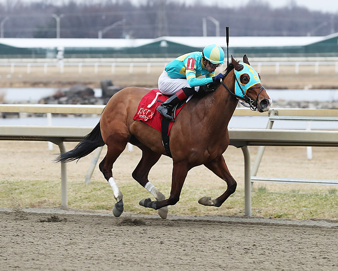 Jakarta wins the 2021 Mrs. Claus Stakes at Parx Racing