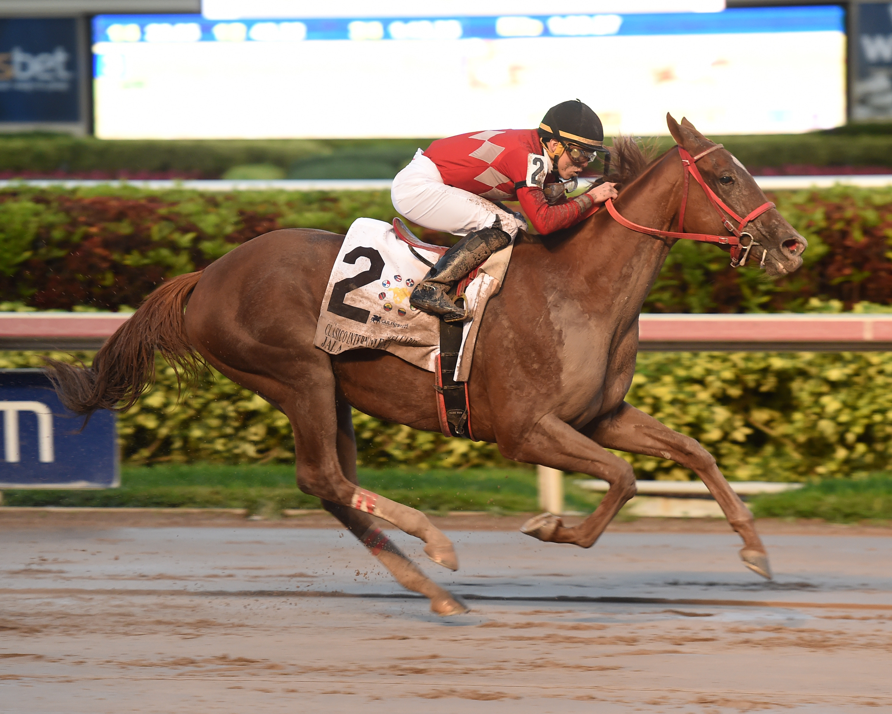 Jala Jala wins 2017 Clasico del Caribe