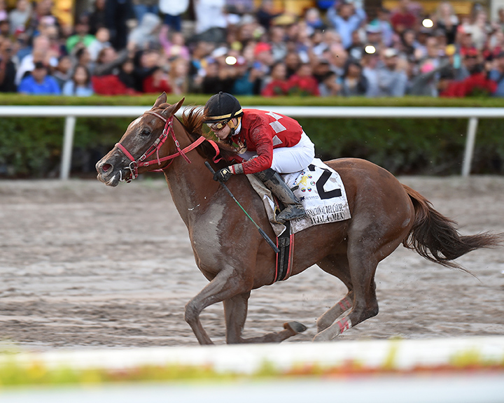 Jala Jala wins the 2017 Caribbean Classic Stakes