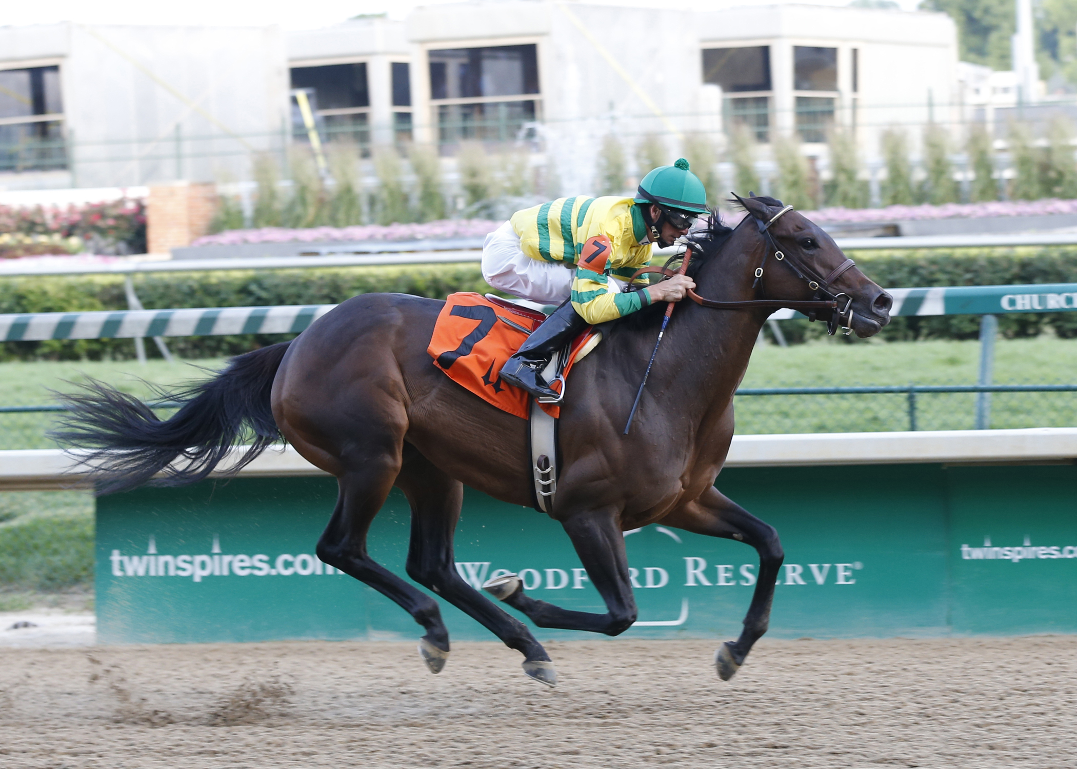 Jamaican Smoke, May 2012 feature race