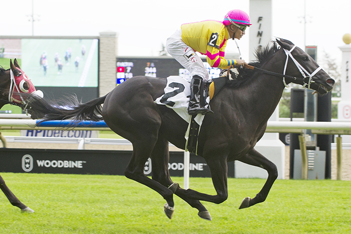 Jammin Still wins a Sept. 28 maiden race