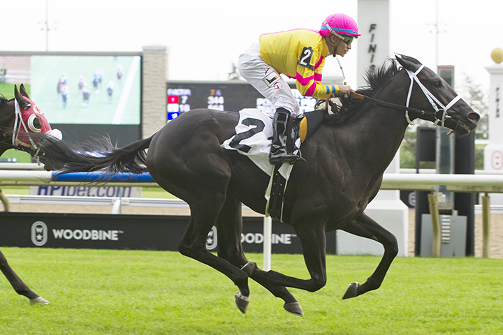 Jammin Still wins a Sept. 28 maiden race