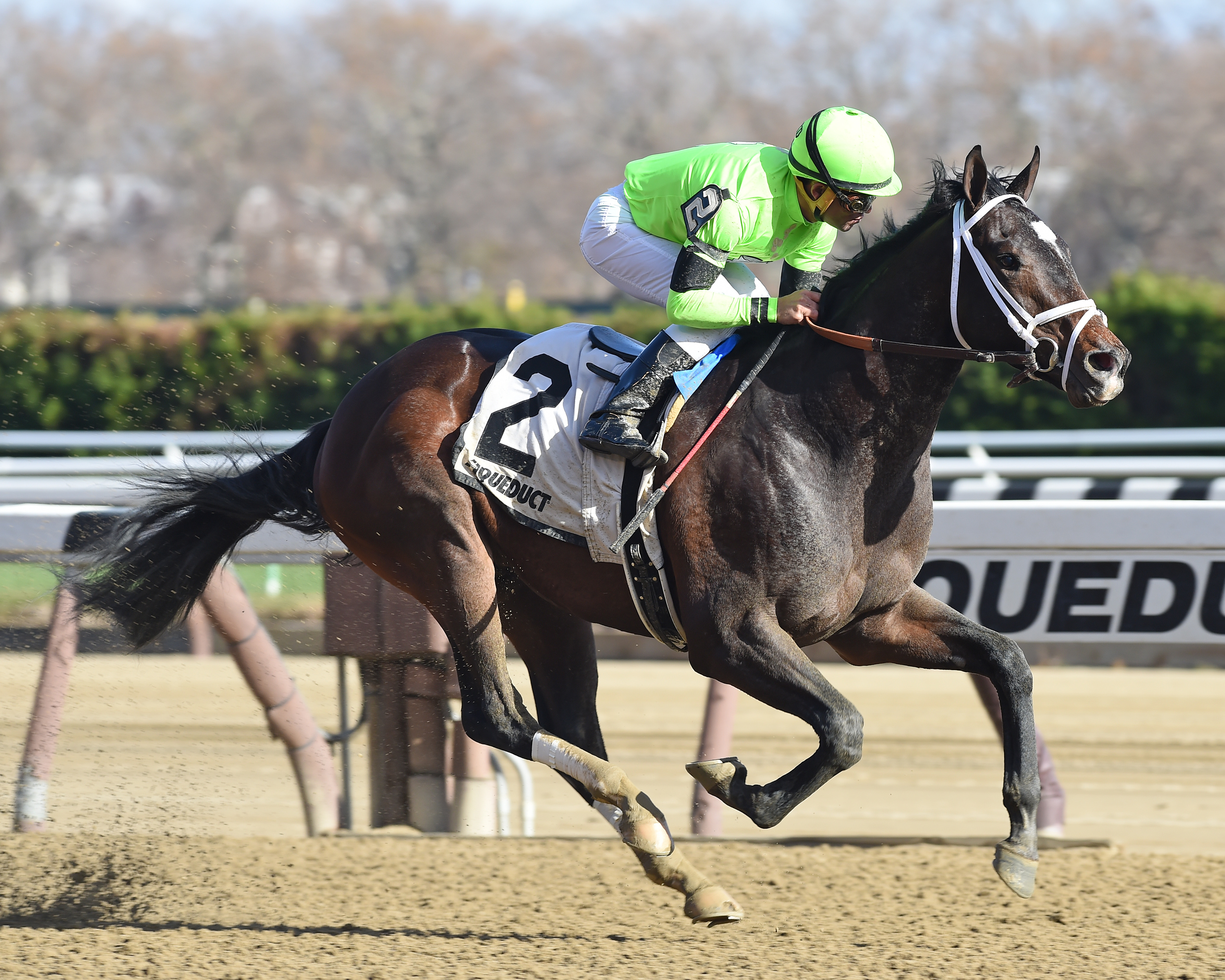 Jan's Reserve wins the 2015 King's Swan Stakes