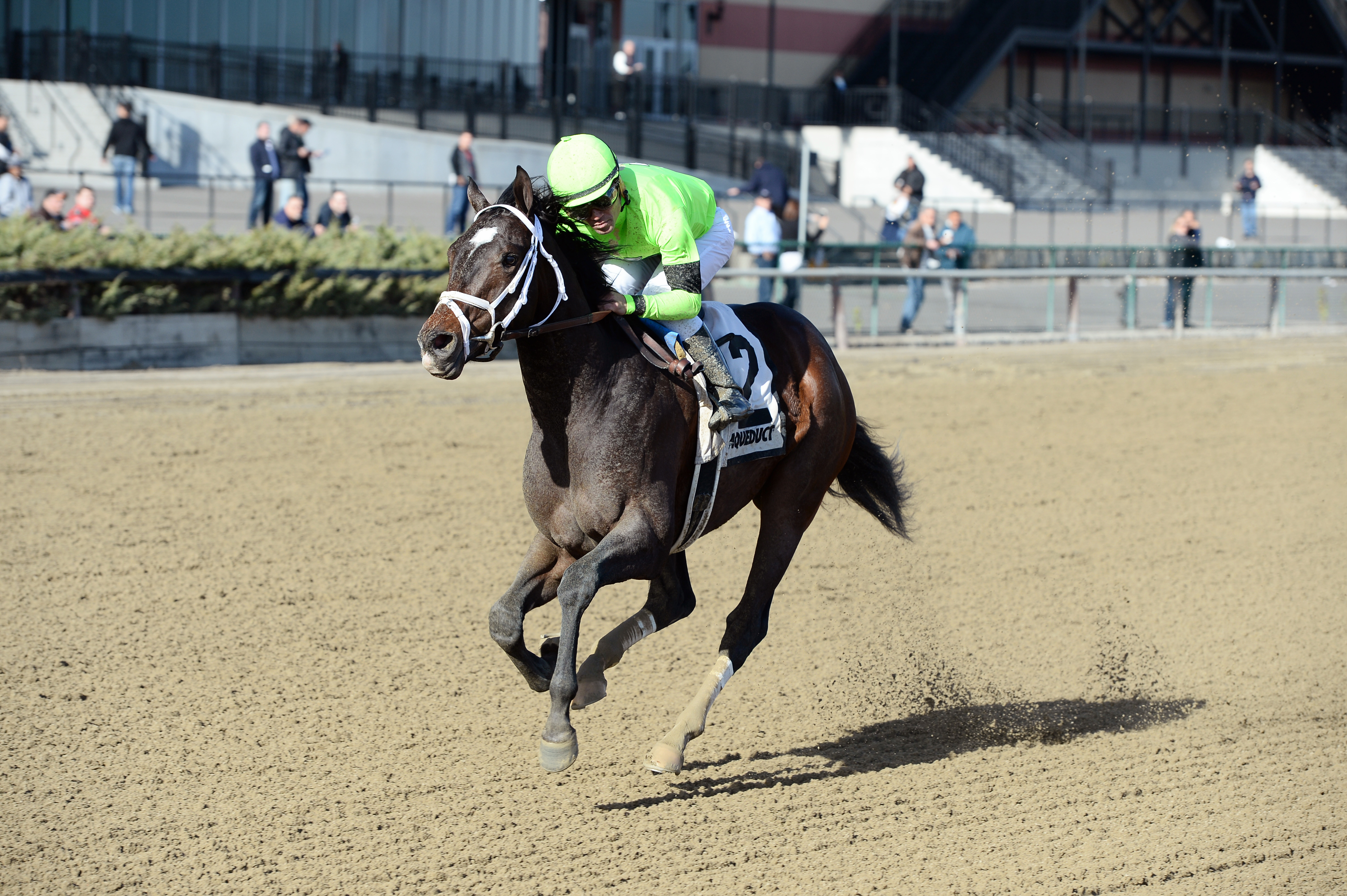 Jan's Reserve wins the King's Swan Stakes