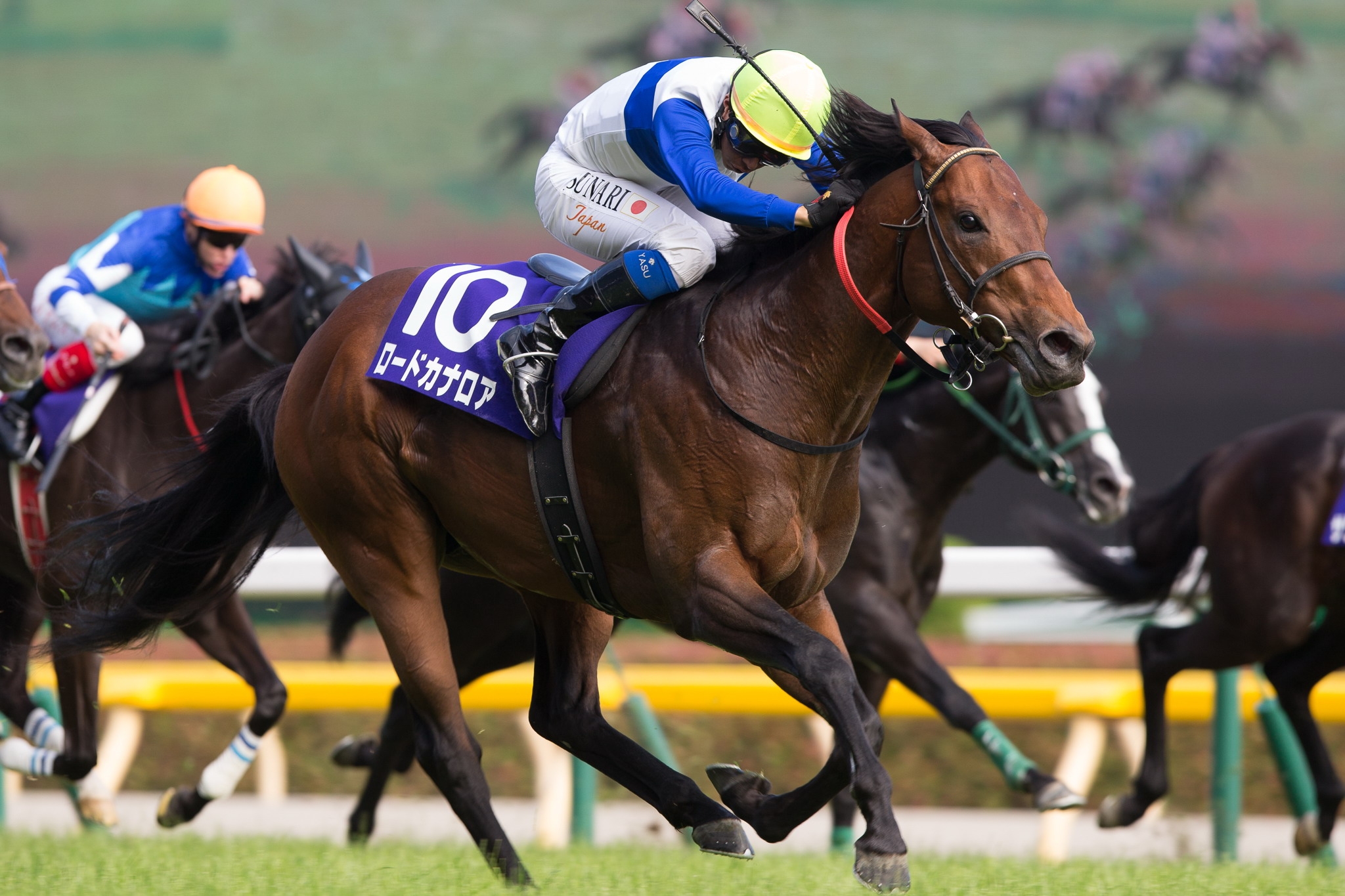 Tokyo Racecourse: Lord Kanaloa takes Grade 1 Yasuda Kinen