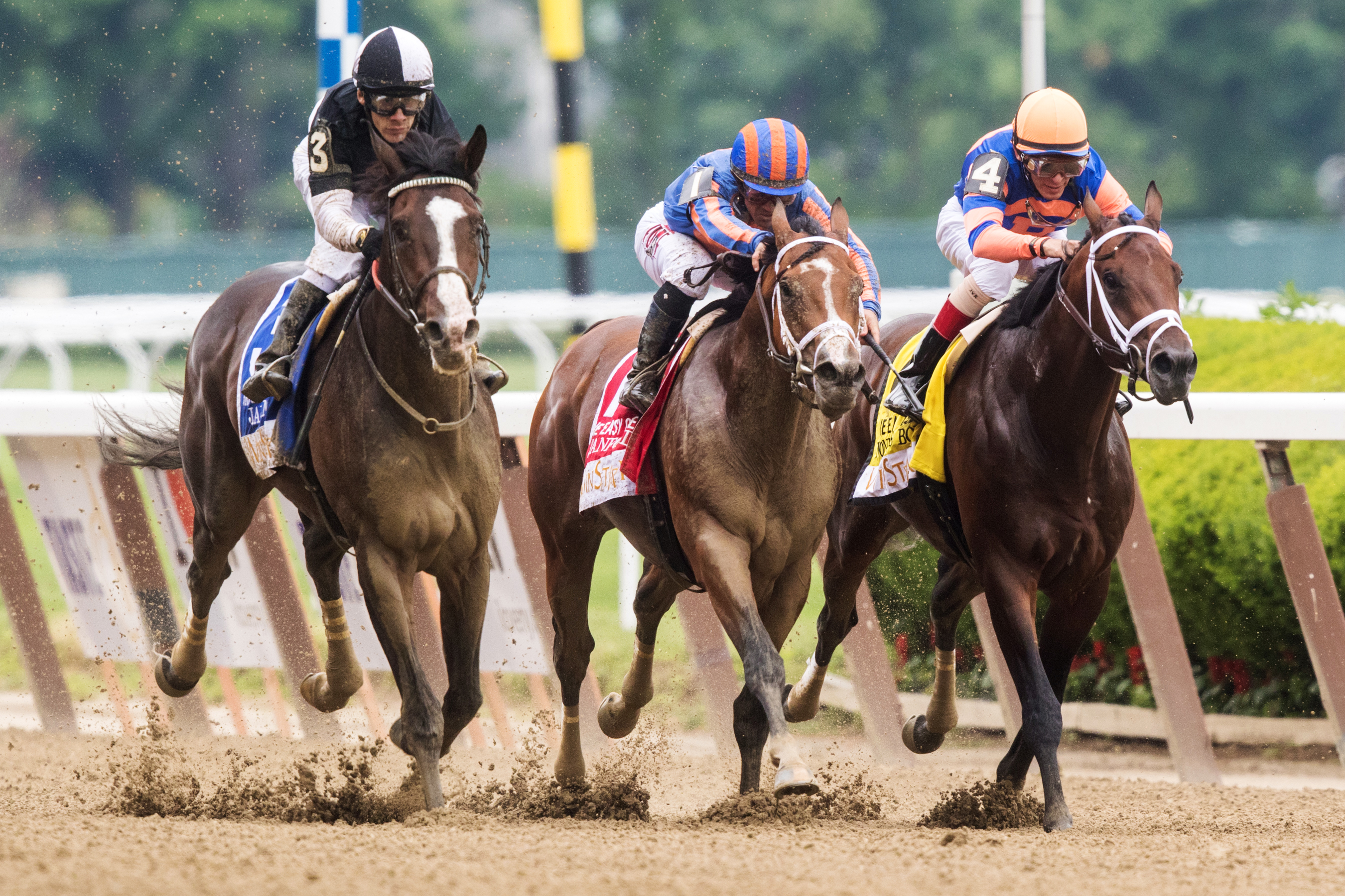 Nonna's Boy finished third in the Easy Goer Stakes