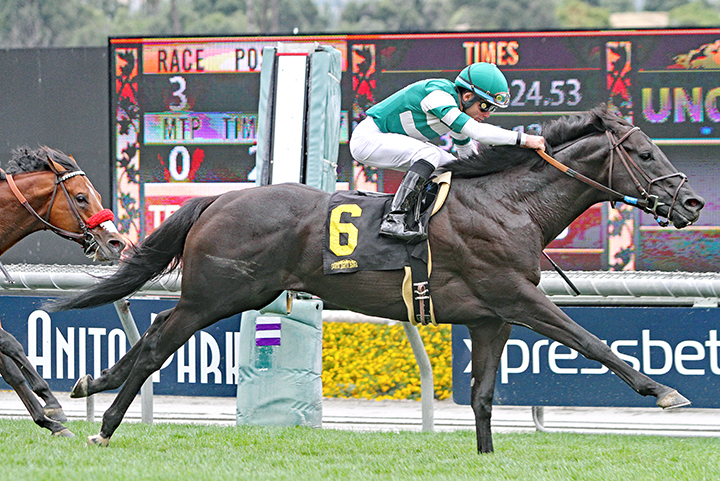 Jasikan wins a May 27 allowance race at Santa Anita Park
