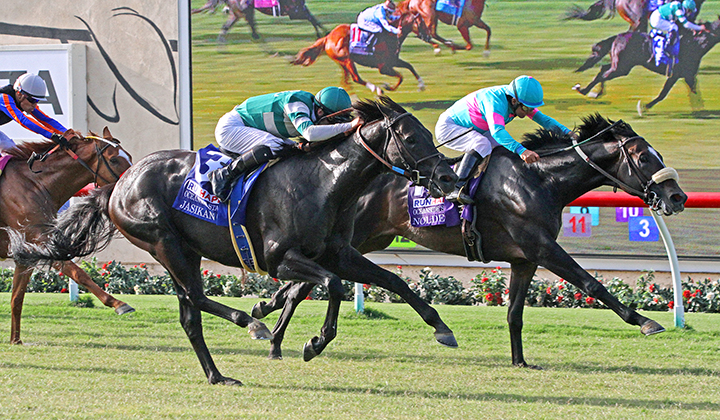 Jasikan wins the 2019 Oceanside Stakes at Del Mar