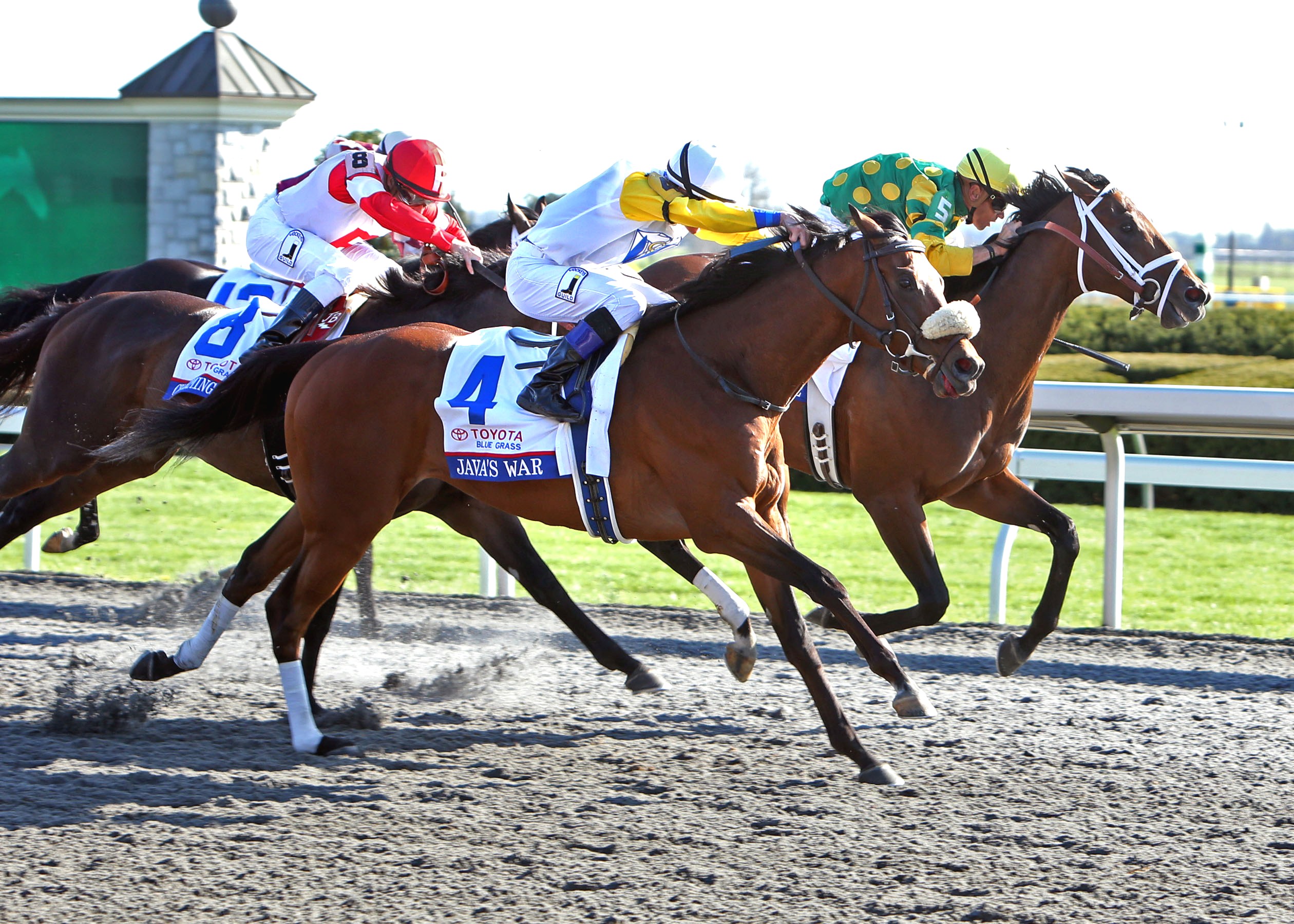 Java's War, Palace Malice (inside), Blue Grass Stakes
