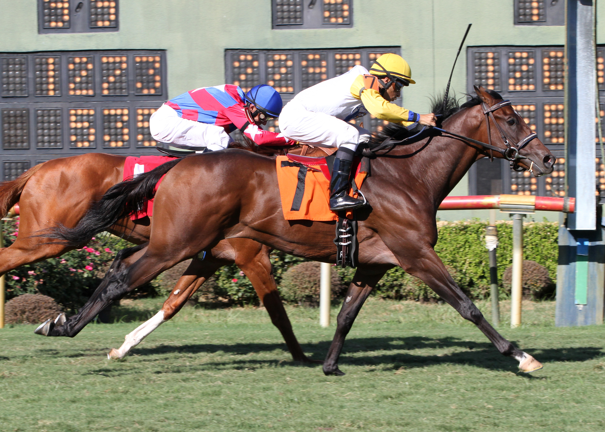 Java's War/Sunday Silence Stakes