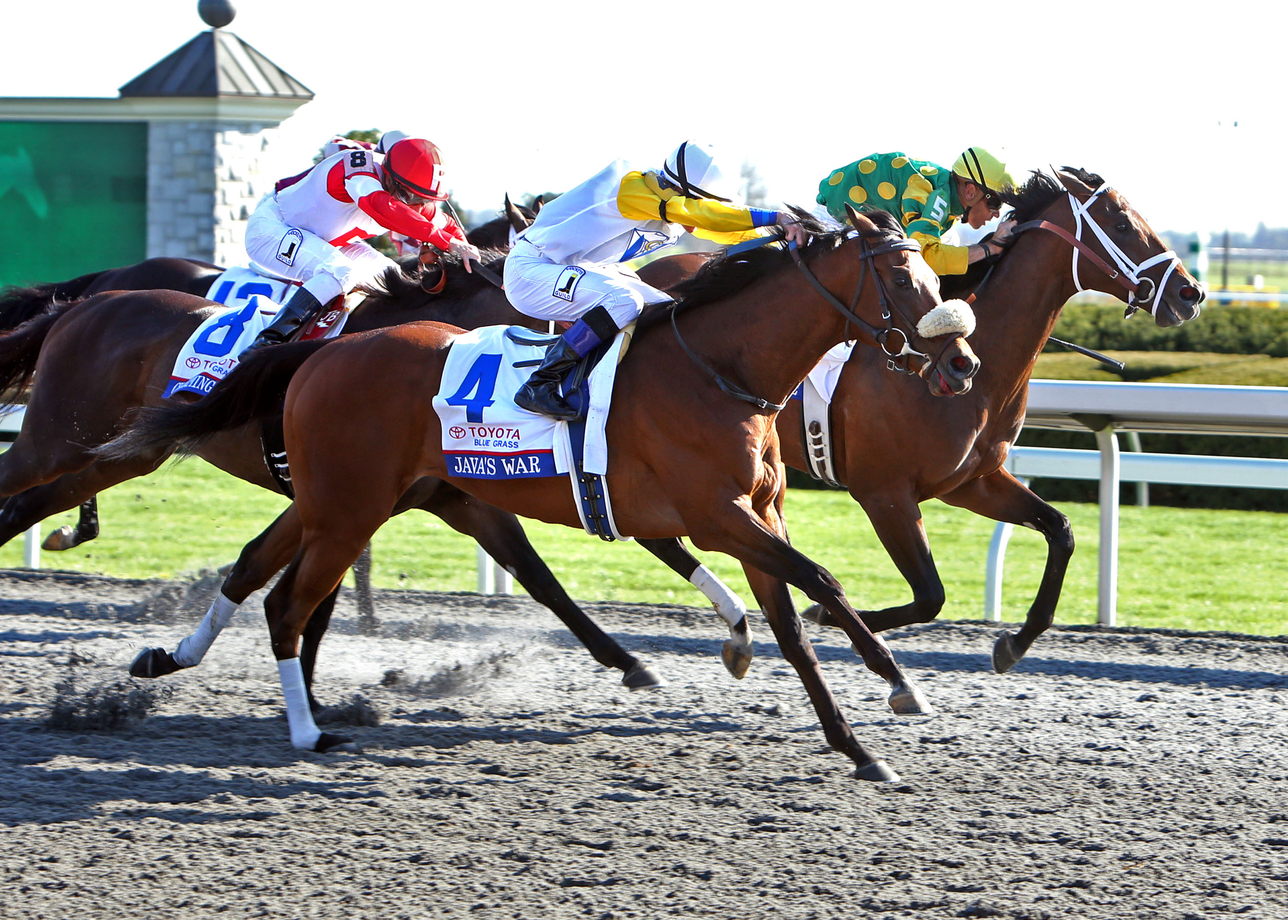 Java's War, Blue Grass Stakes