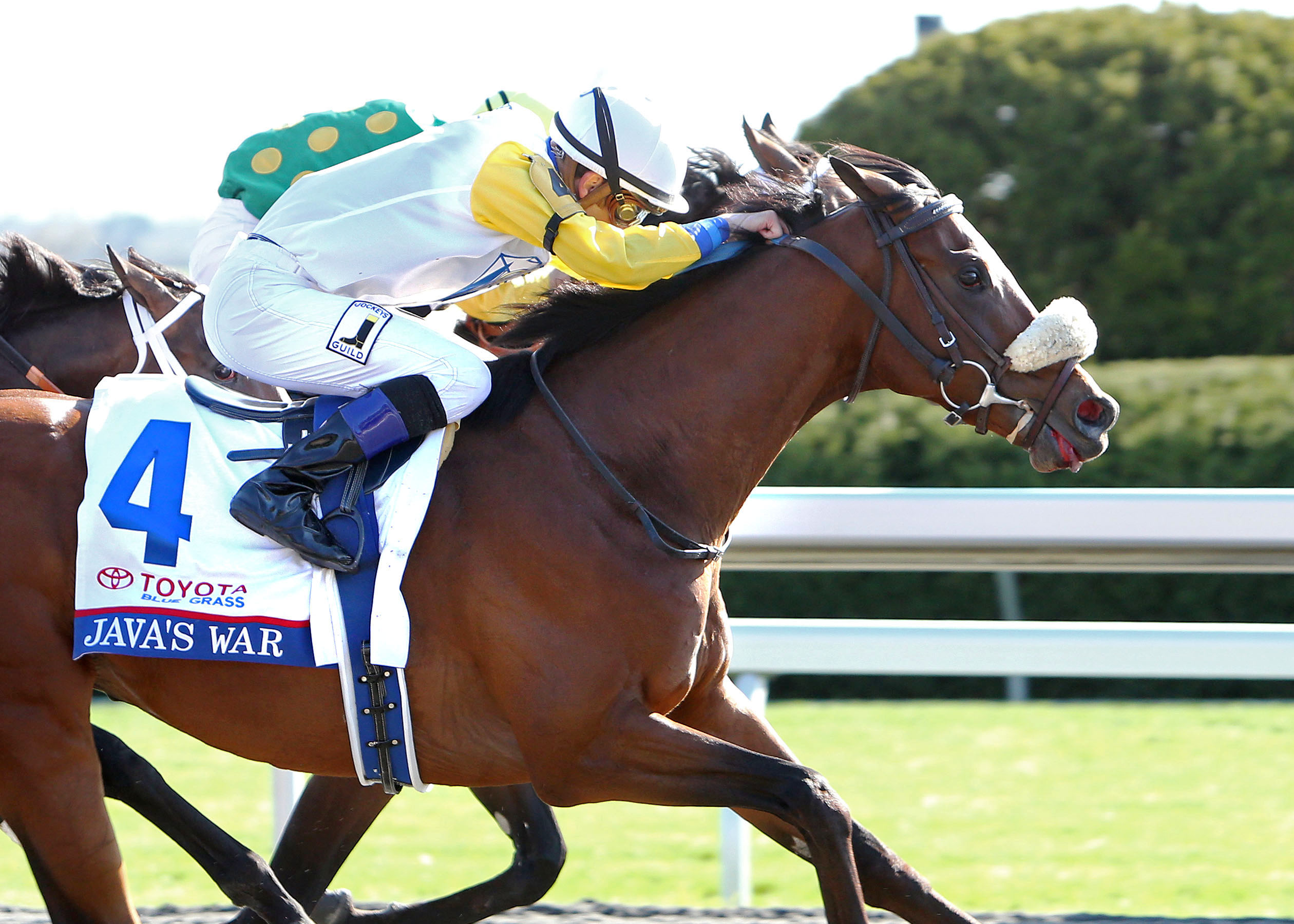 Java's War wins the 2013 Blue Grass