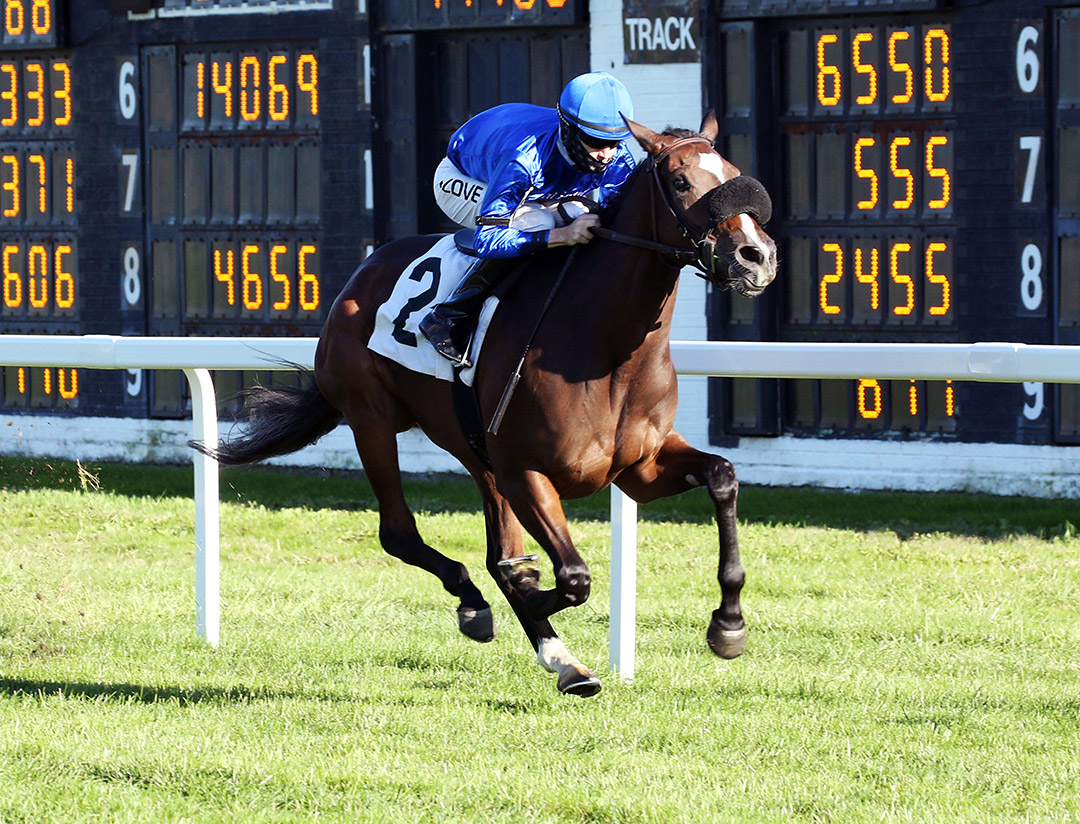 Javanica wins a September 2020 maiden race at Arlington