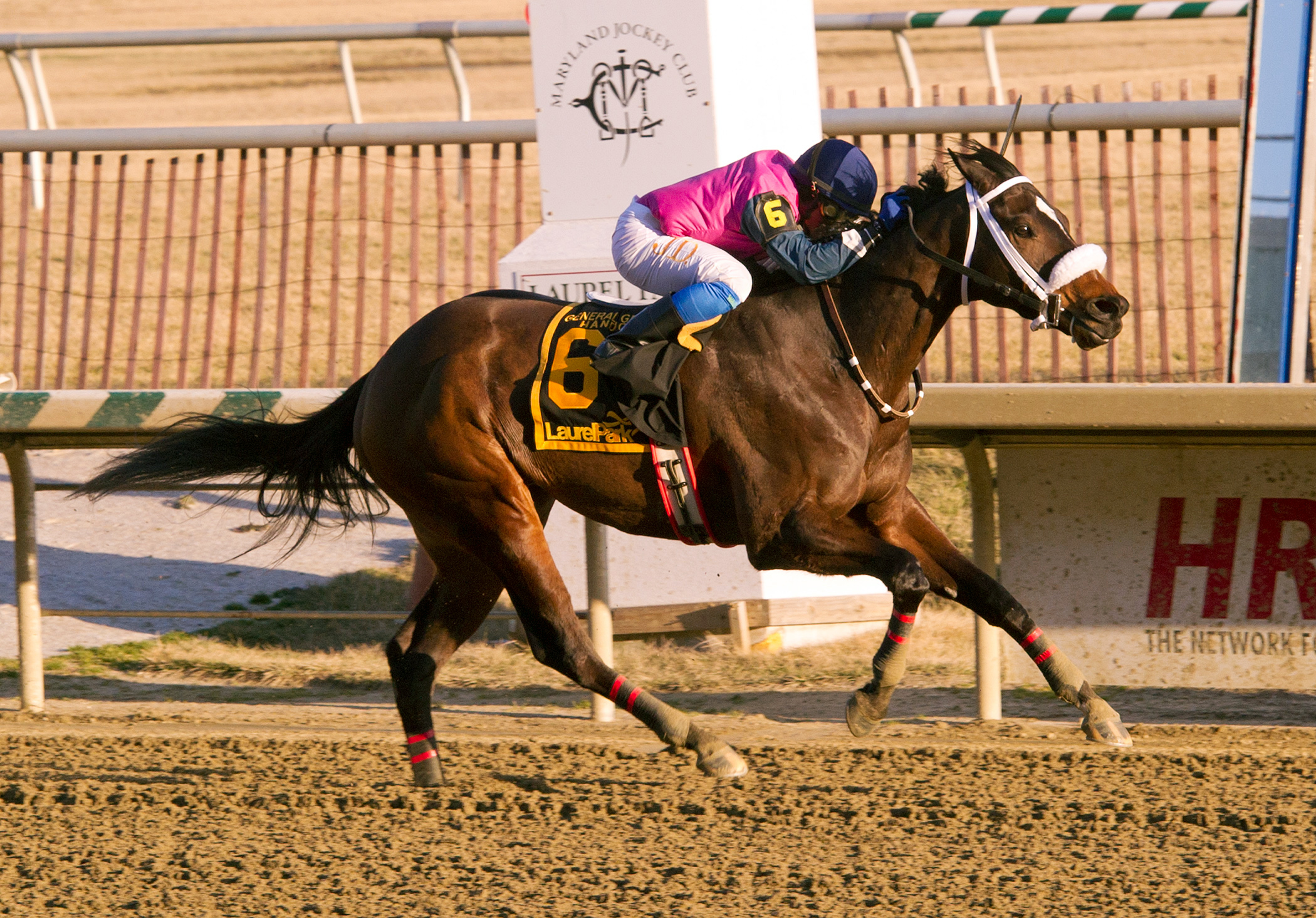 Javerre wins the 2013 General George Handicap