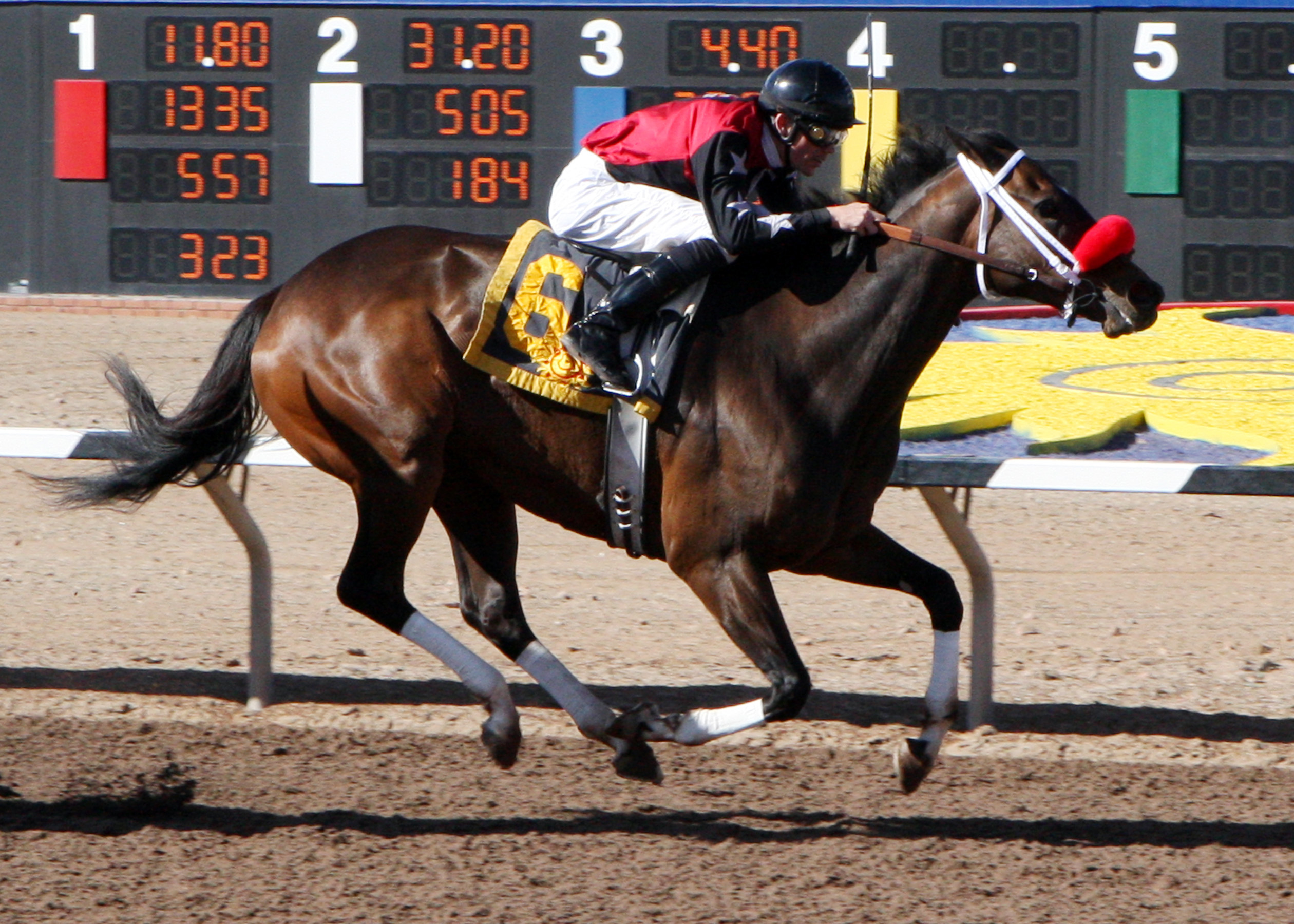 Jaws n' Paws wins the Czaria Stakes