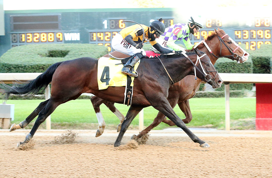 Jaxon Traveler (No. 4) finishes second in the Gazebo Stakes at Oaklawn