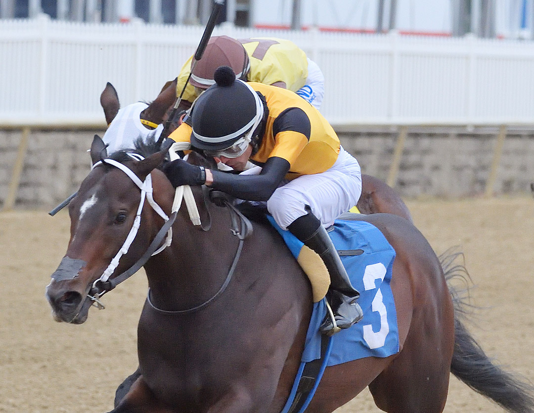 Jaxon Traveler wins the 2020 Maryland Juvenile Futurity at Laurel Park