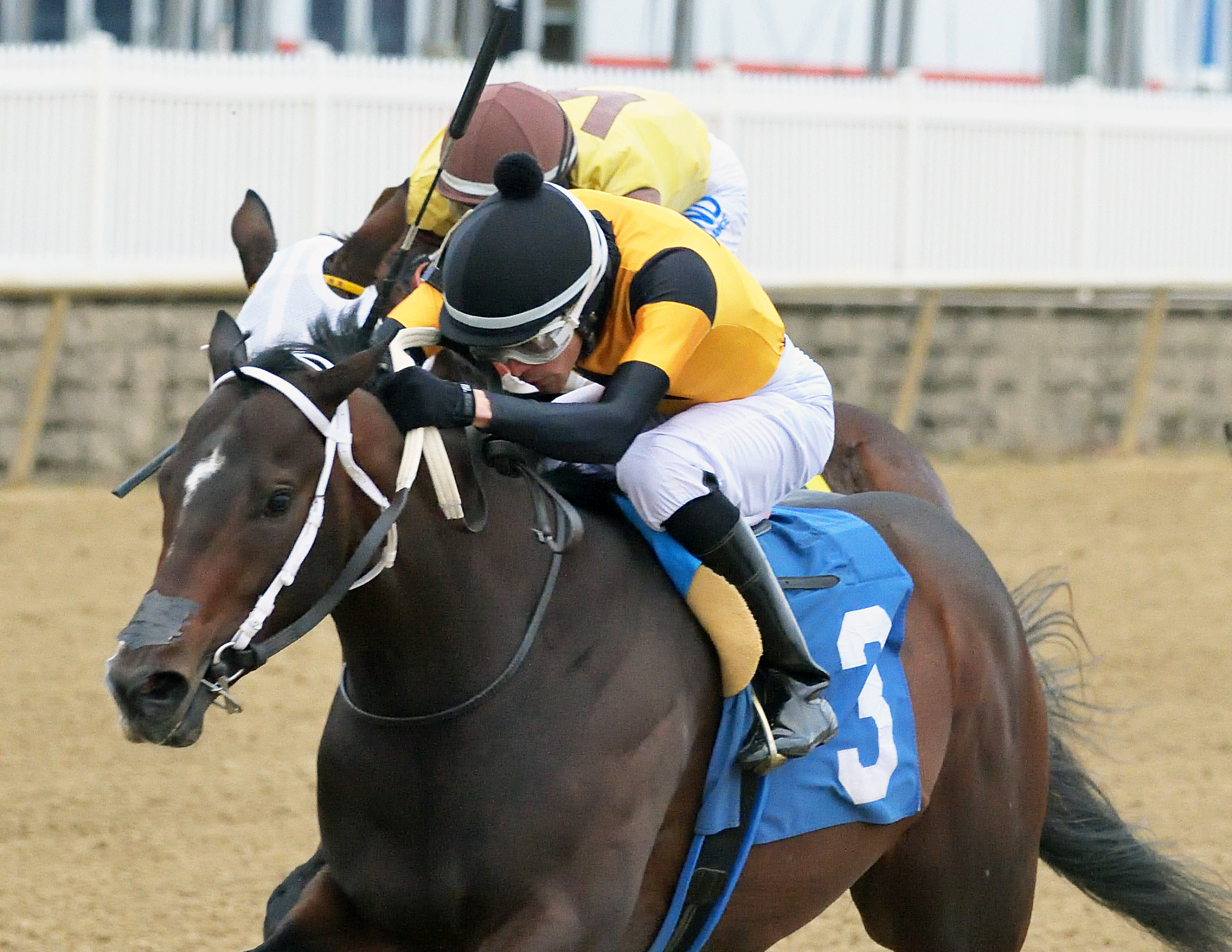 Jaxon Traveler wins the 2020 Maryland Juvenile Futurity at Laurel Park
